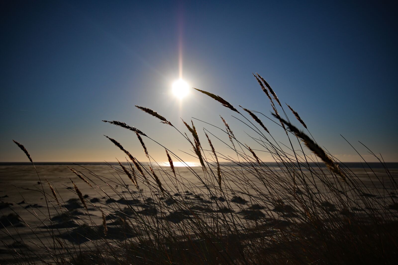 Canon EOS 70D sample photo. Amrum, sun, beach photography