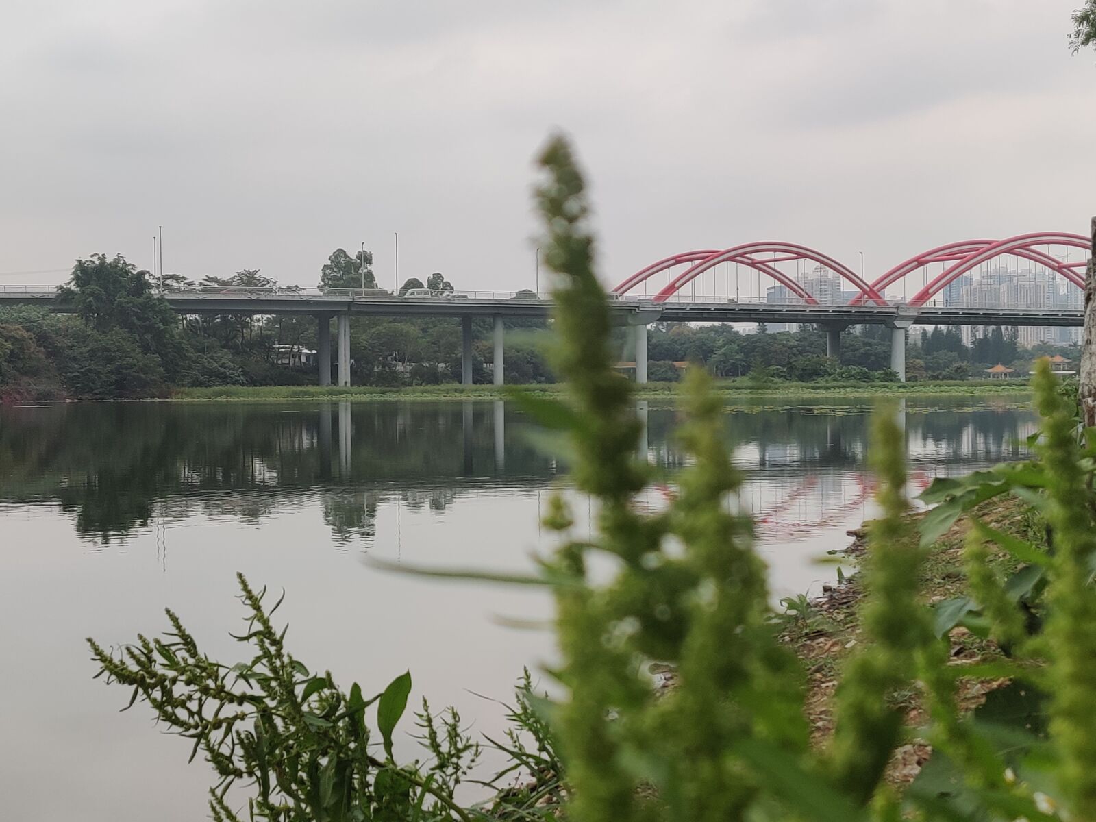 OnePlus HD1900 sample photo. Shenzhen, bridge, plant photography