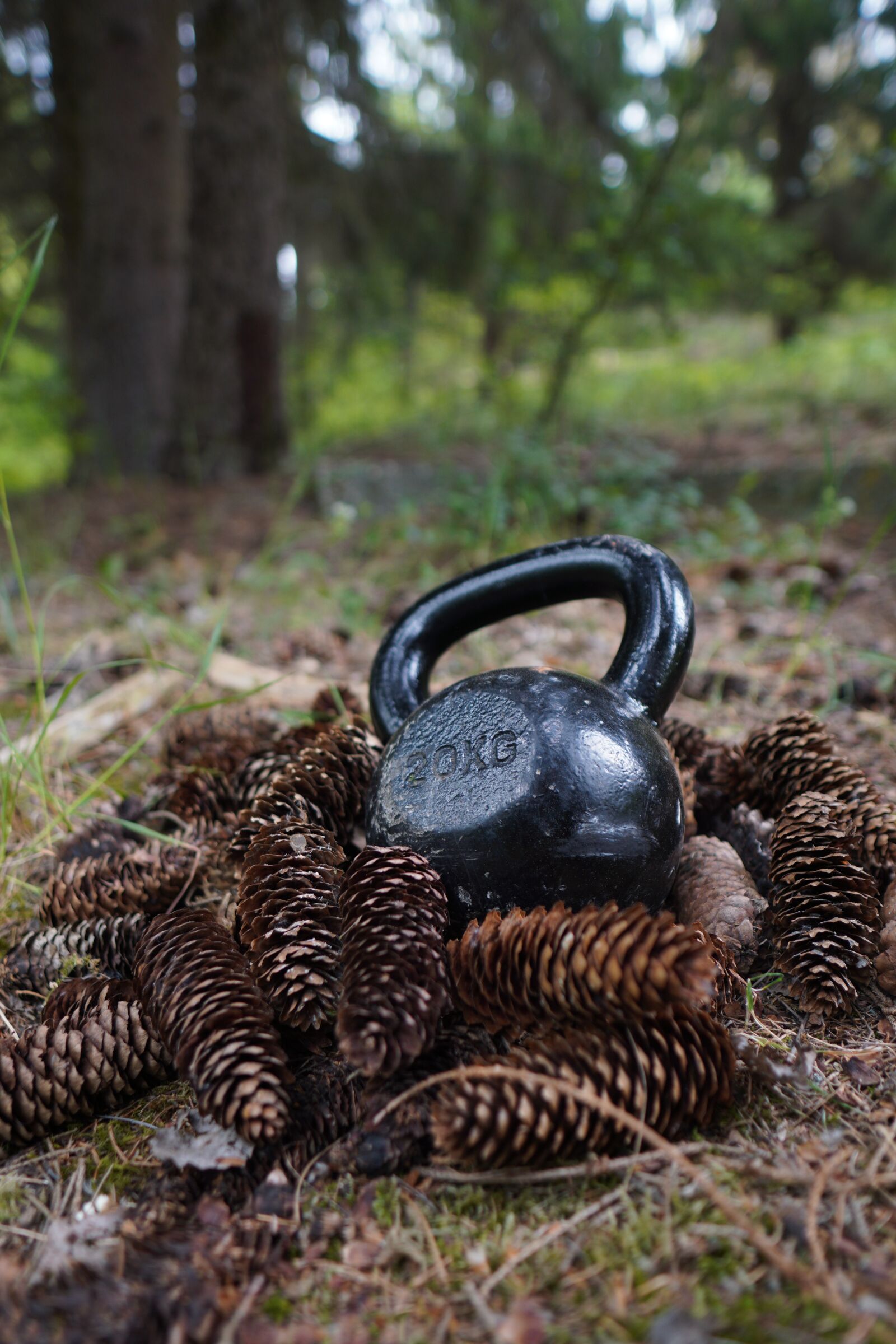 Sony a6400 + Sigma 16mm F1.4 DC DN | C sample photo. Carnivore, kettlebell, trening photography