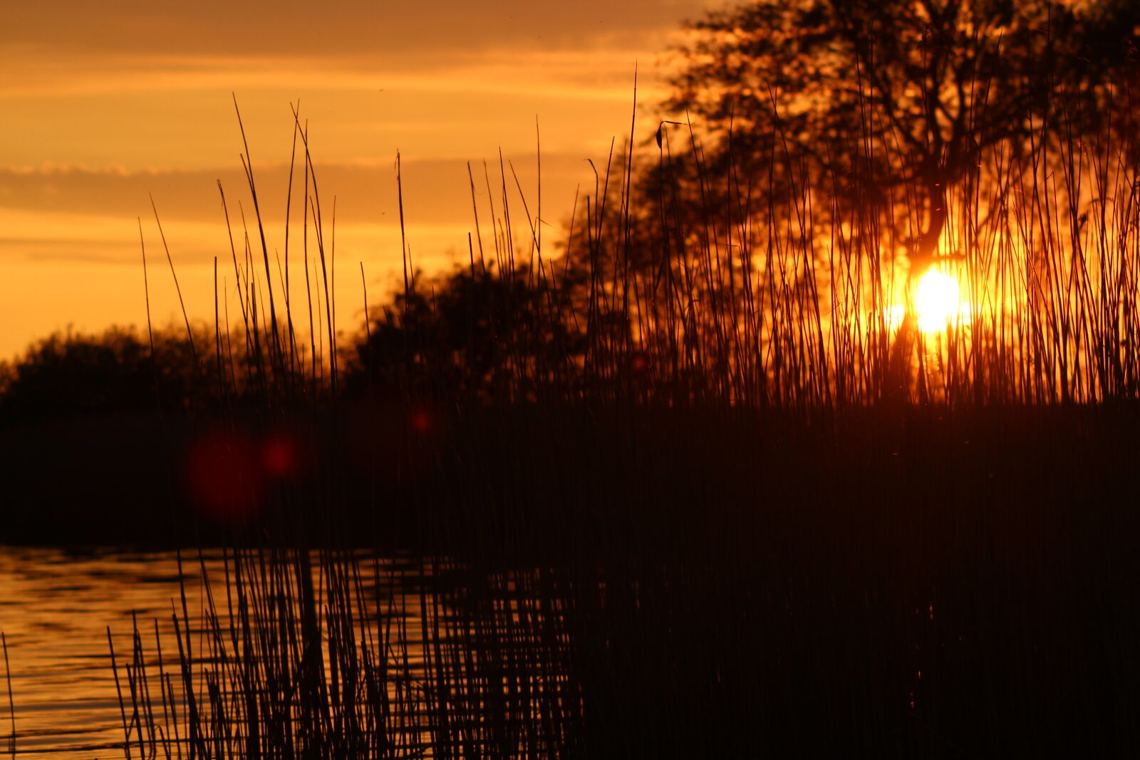 Canon EOS 700D (EOS Rebel T5i / EOS Kiss X7i) sample photo. Sunset, lake, abendstimmung photography