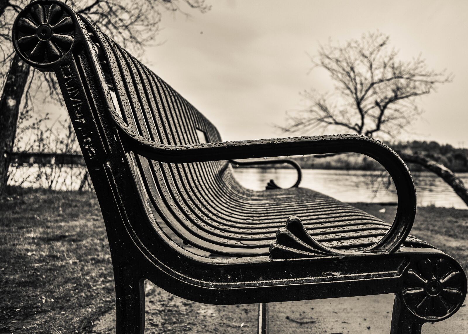 Nikon D3400 sample photo. Rain, bench, metal photography