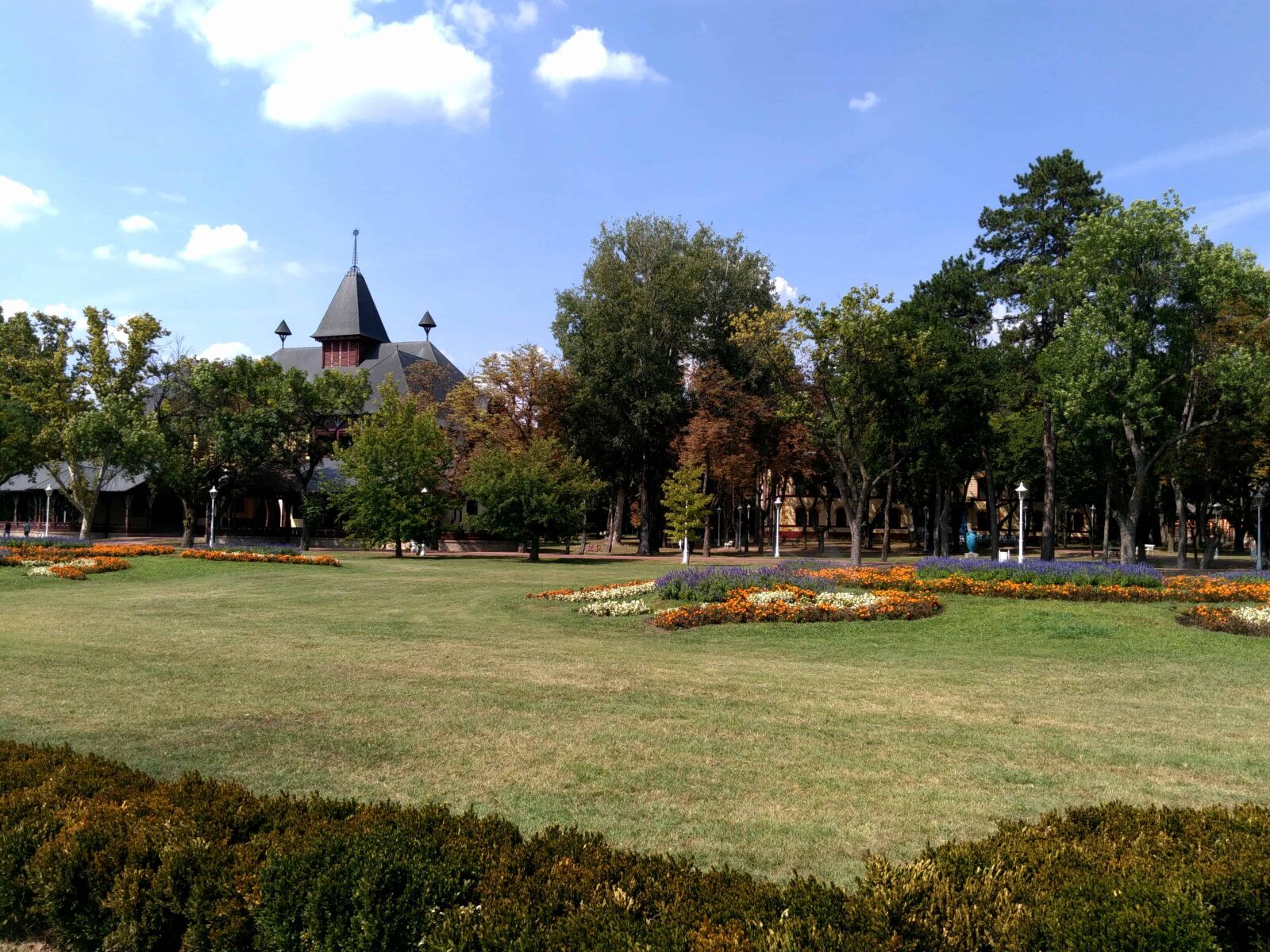 Lenovo S60-A sample photo. Flower garden, grass, tree photography
