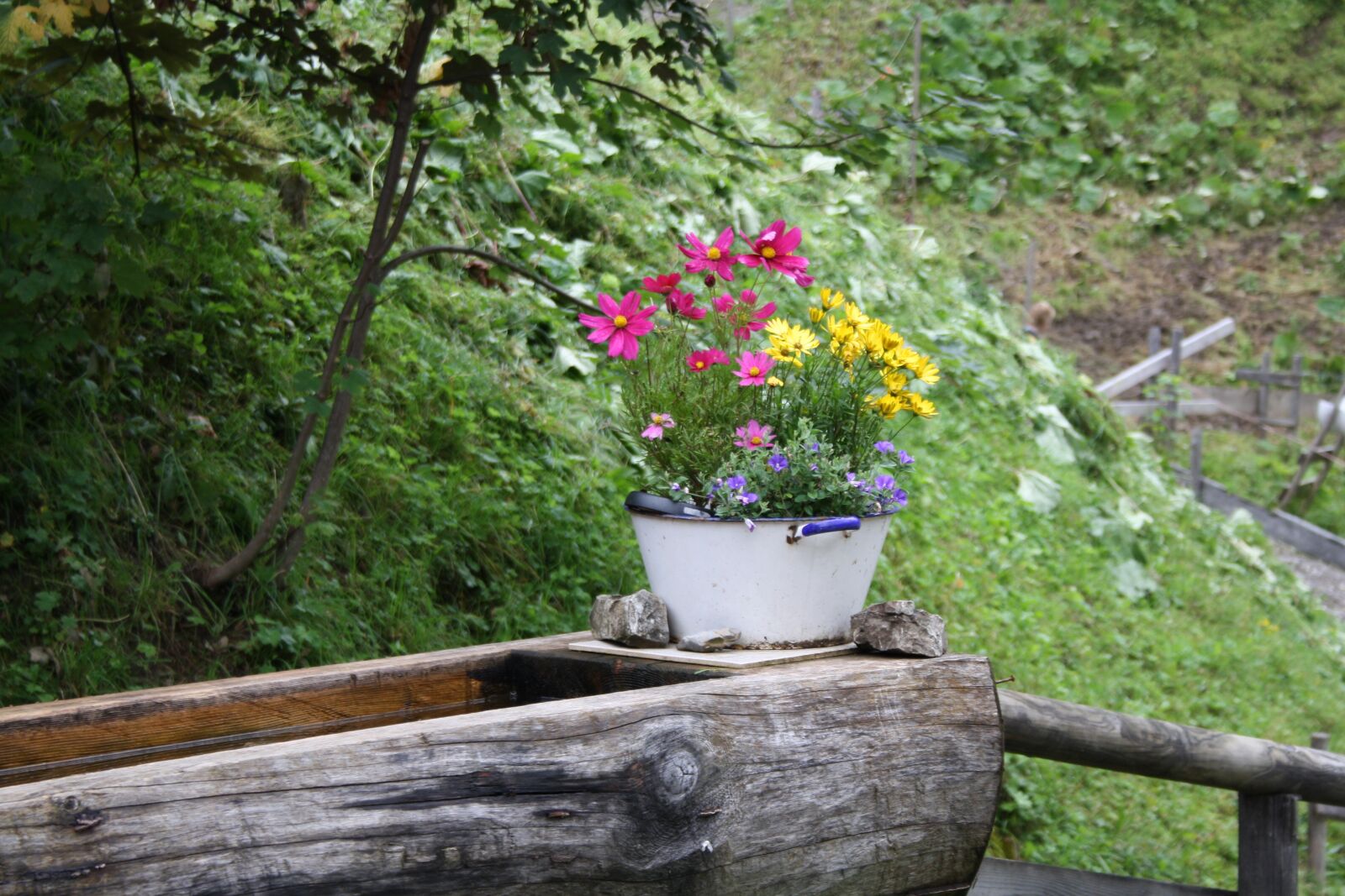 Canon EF-S 18-55mm F3.5-5.6 II sample photo. Flowers, potions, bavaria photography