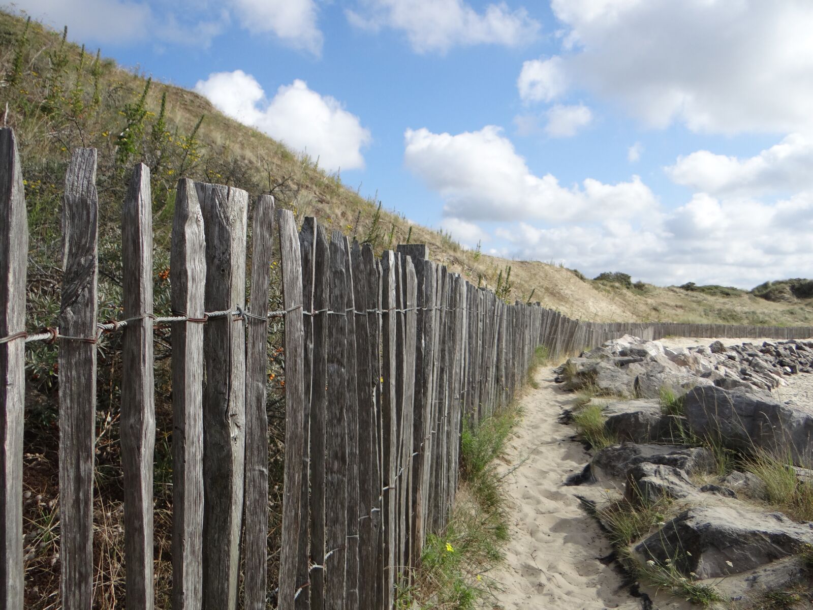 Sony DSC-HX200V sample photo. Dune, path, beach photography