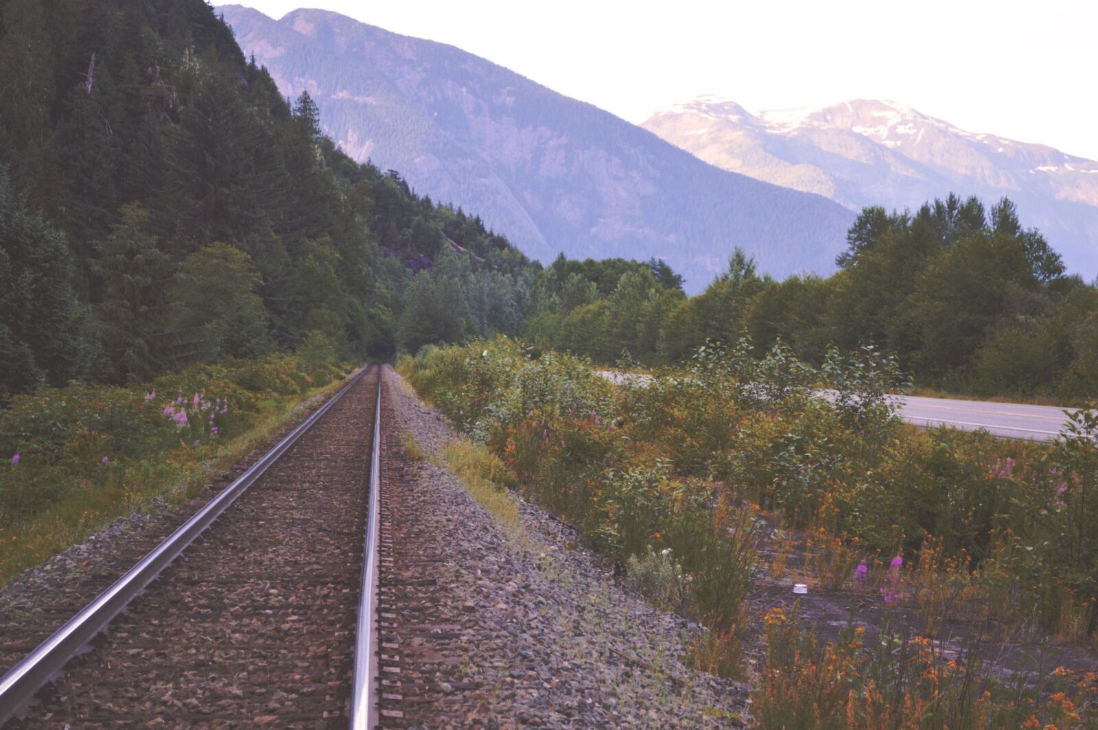 Nikon D3200 sample photo. Adventure, train tracks, travel photography