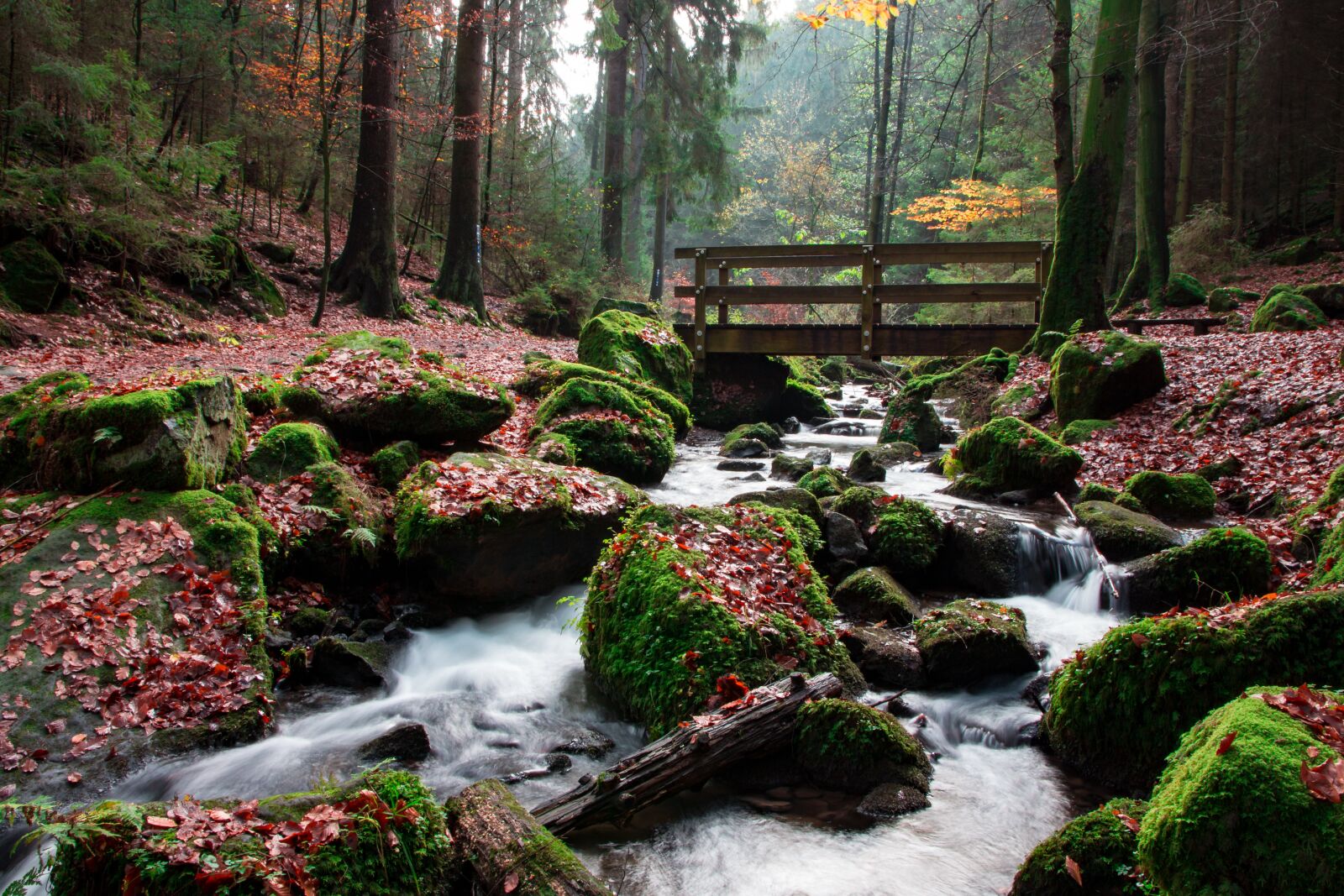 Canon EOS 700D (EOS Rebel T5i / EOS Kiss X7i) sample photo. Teutoburg forest, silver valley photography