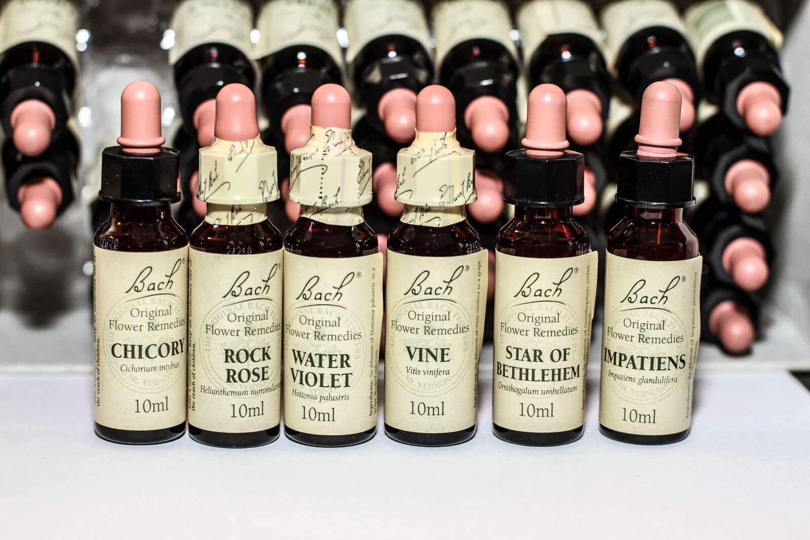 Canon EOS 7D + Canon EF 50mm F1.4 USM sample photo. Bach flowers, bach remedies photography