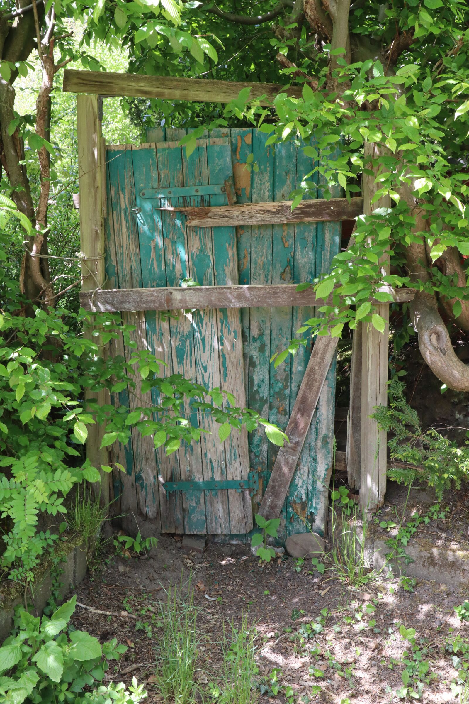 Canon EOS M50 (EOS Kiss M) sample photo. Input, closed, door photography