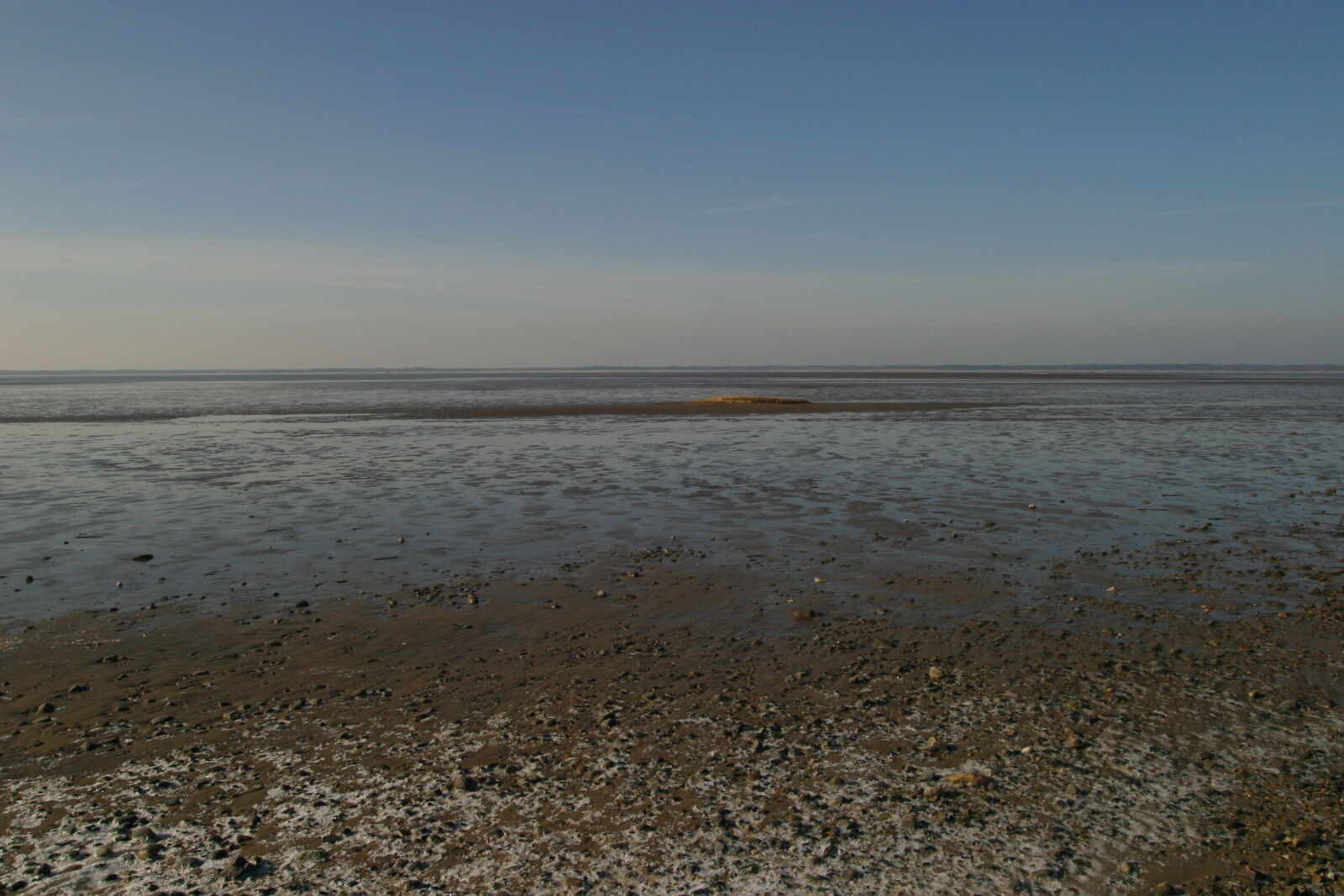 Canon EOS D60 sample photo