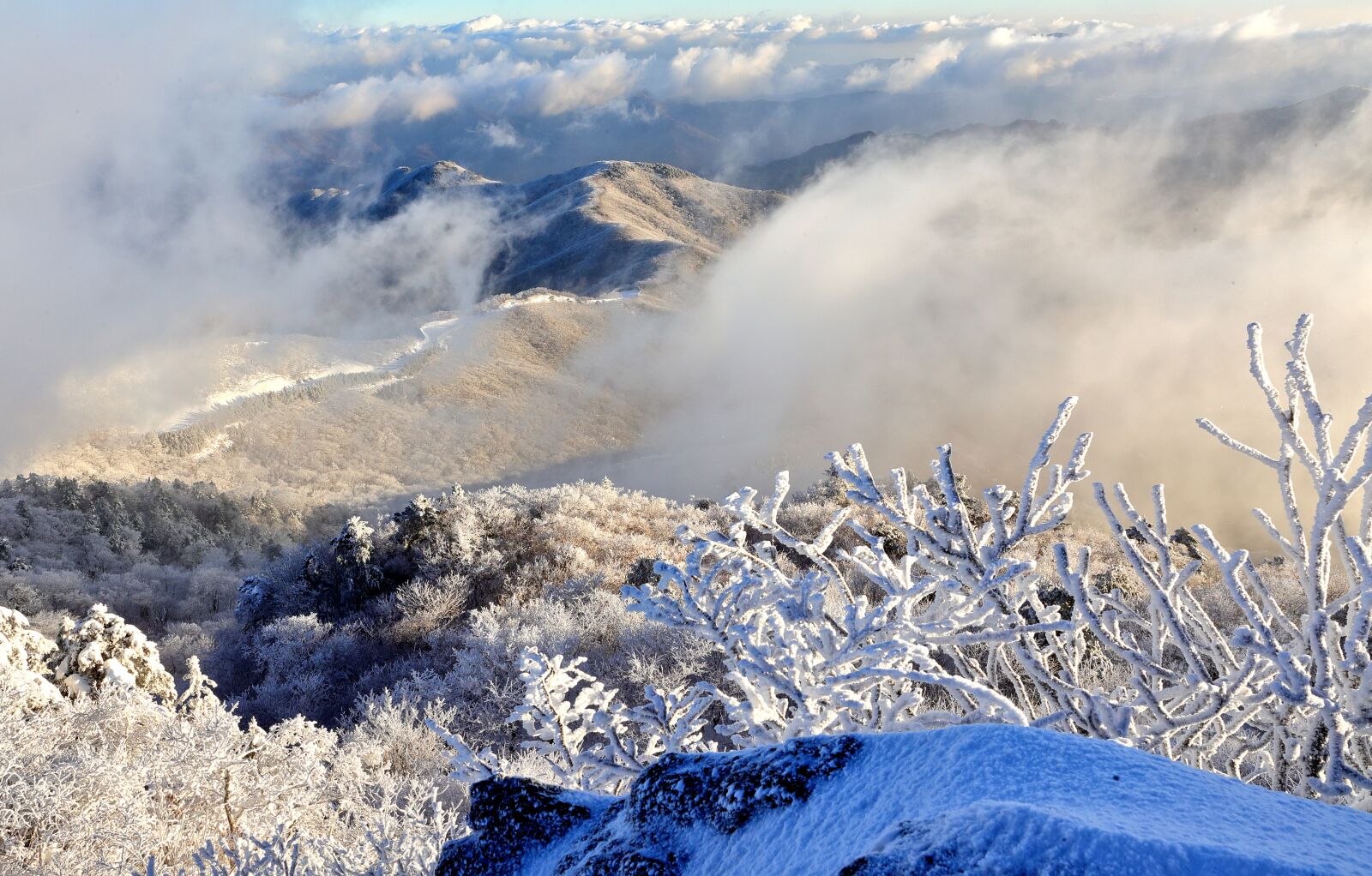 Canon EOS-1D X Mark II sample photo. Nature, scenery, heaven photography
