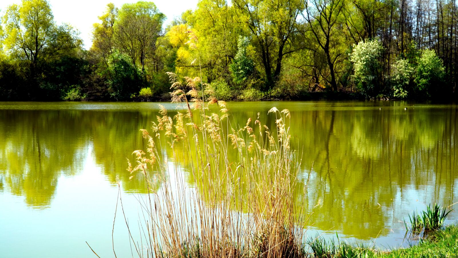Sony E PZ 18-105mm F4 G OSS sample photo. Lake, pond, water photography