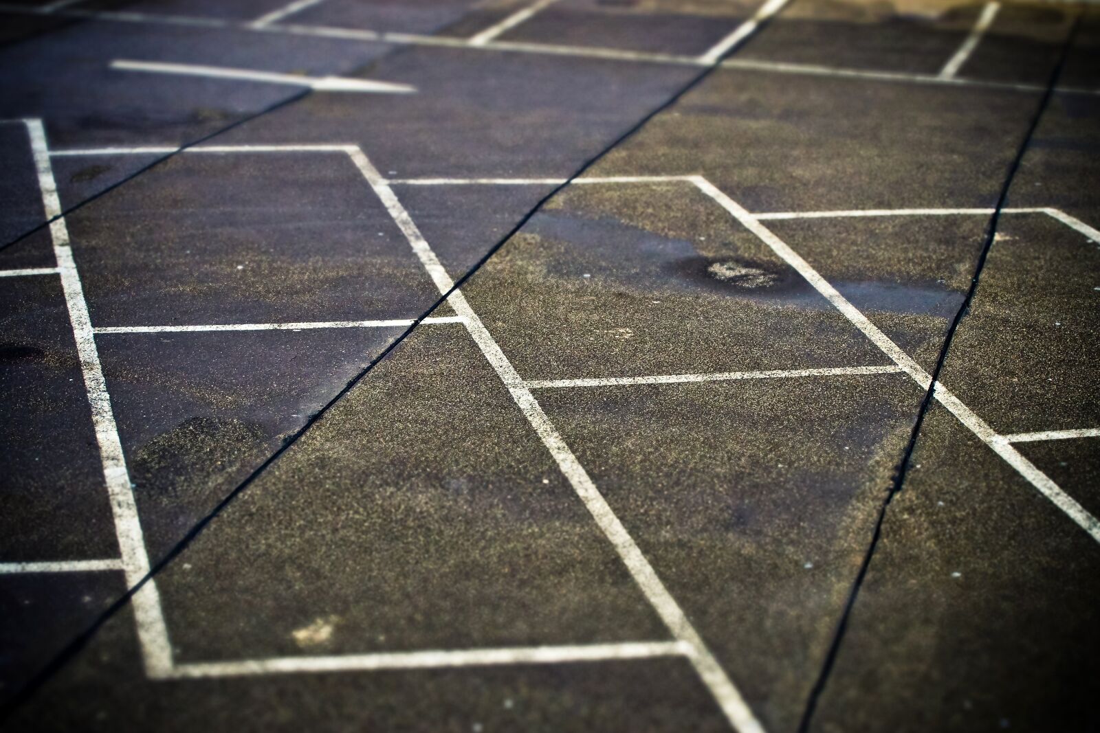 Olympus OM-D E-M10 sample photo. Parking, mark, asphalt photography