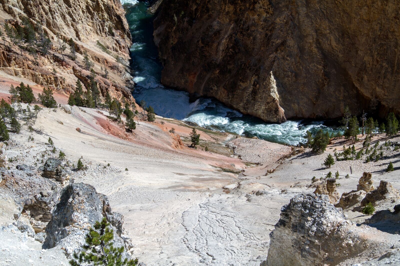 Canon EOS 7D sample photo. Yellowstone national park, wyoming photography