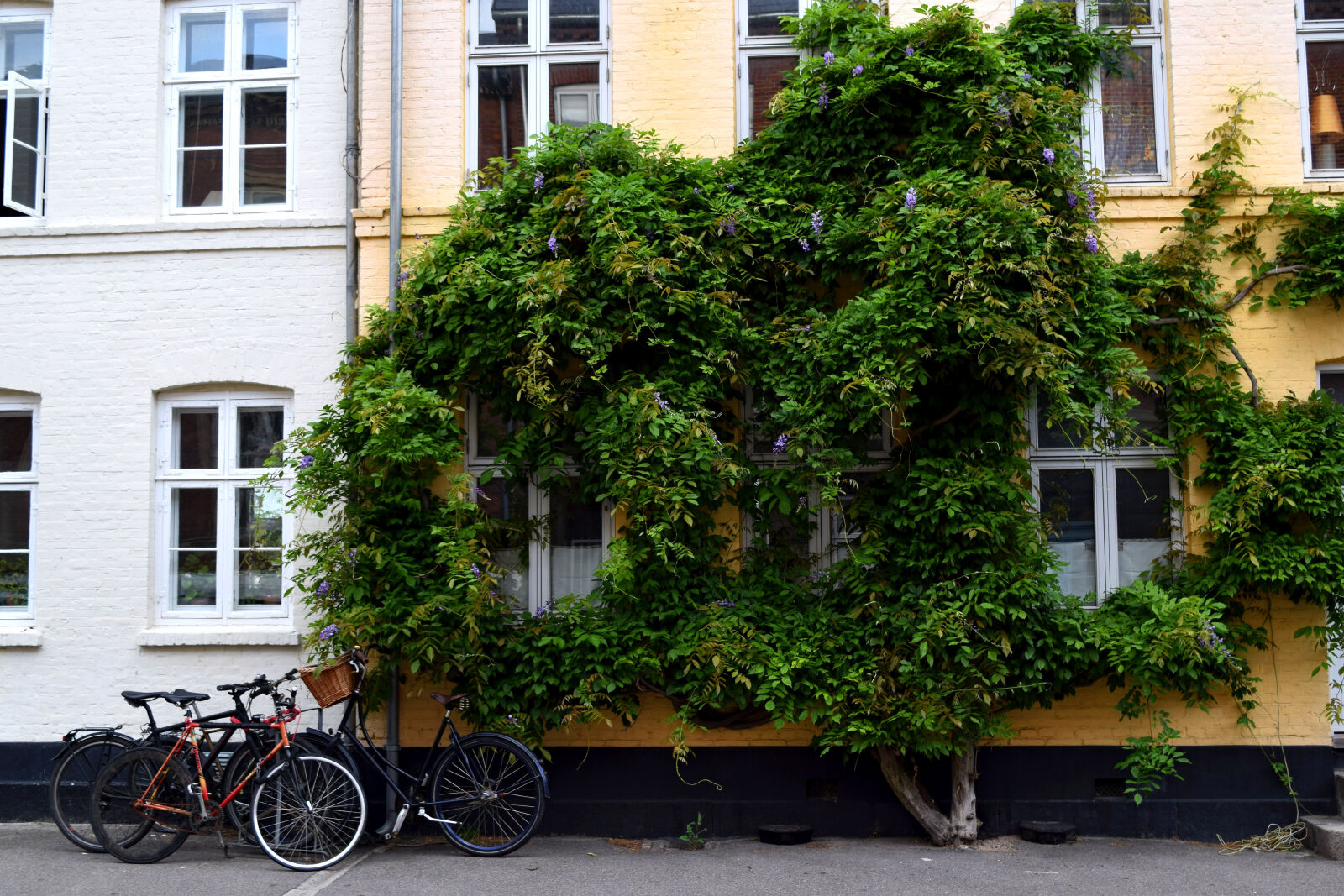 Nikon D3300 sample photo. Copenhagen, osterbro, summer photography