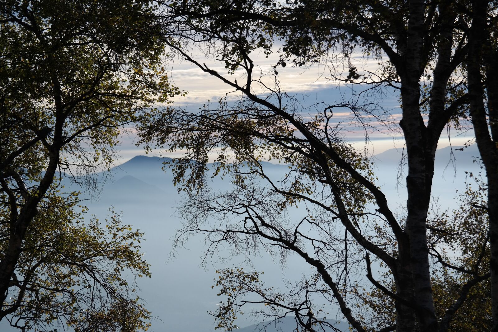 Samsung NX300 sample photo. Mountains, trees, fog photography