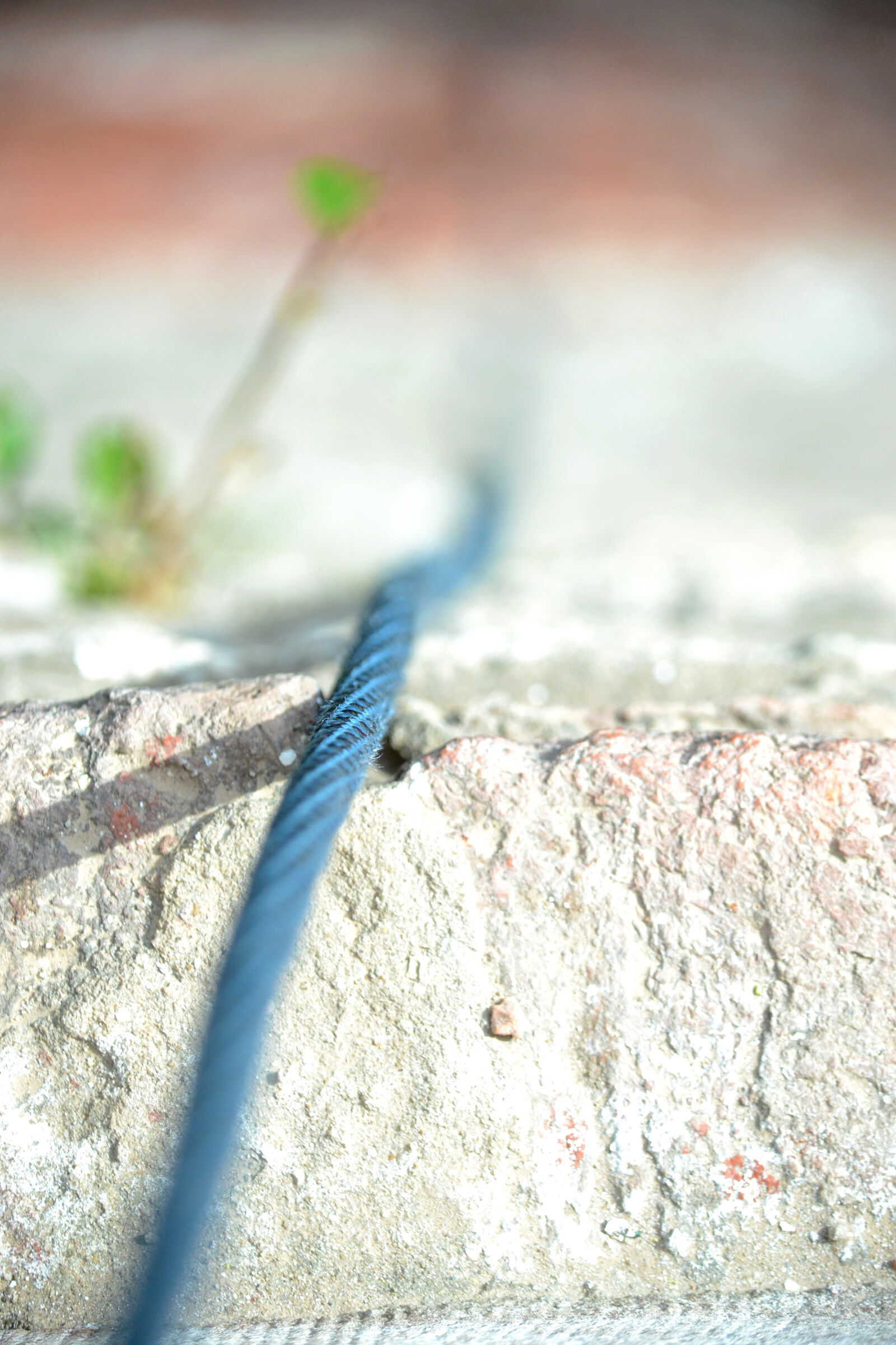 Nikon D3100 sample photo. Rope photography