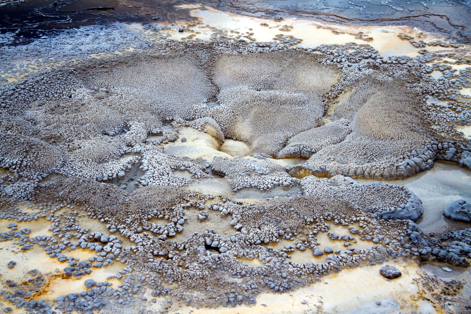 Canon EOS 7D sample photo. Grand teton national park photography