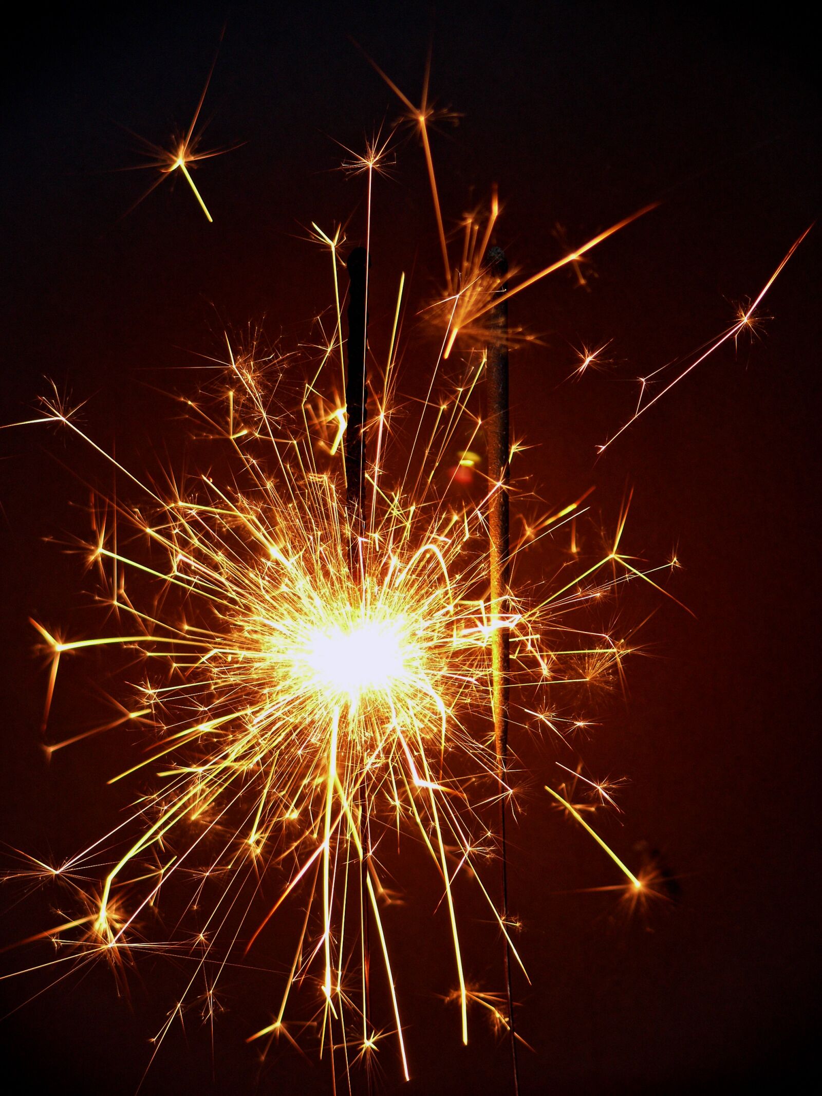 Leica V-LUX 1 sample photo. Celebration, fire, happy photography