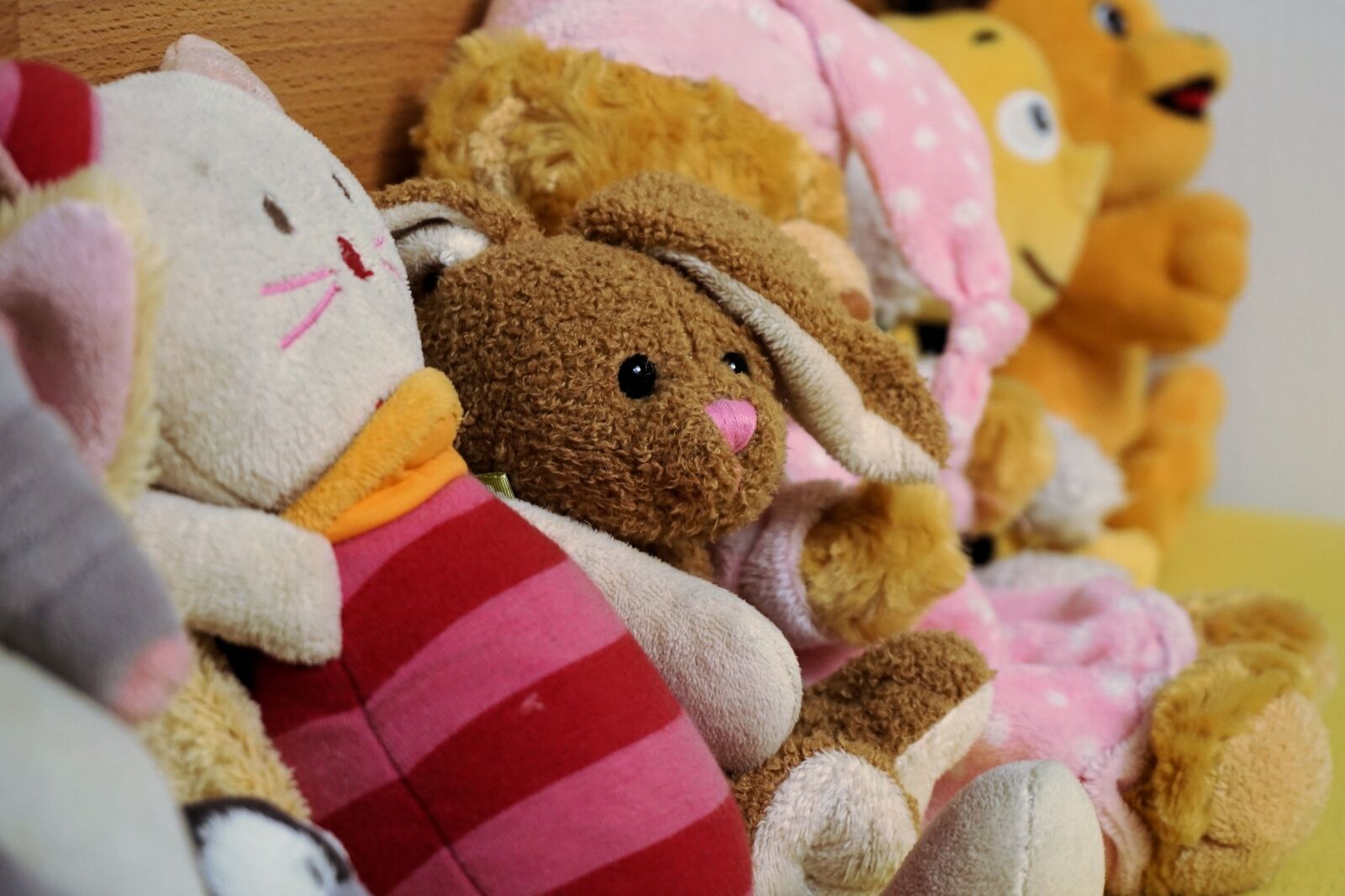 Sony a6000 sample photo. Soft toys, stuffed animals photography
