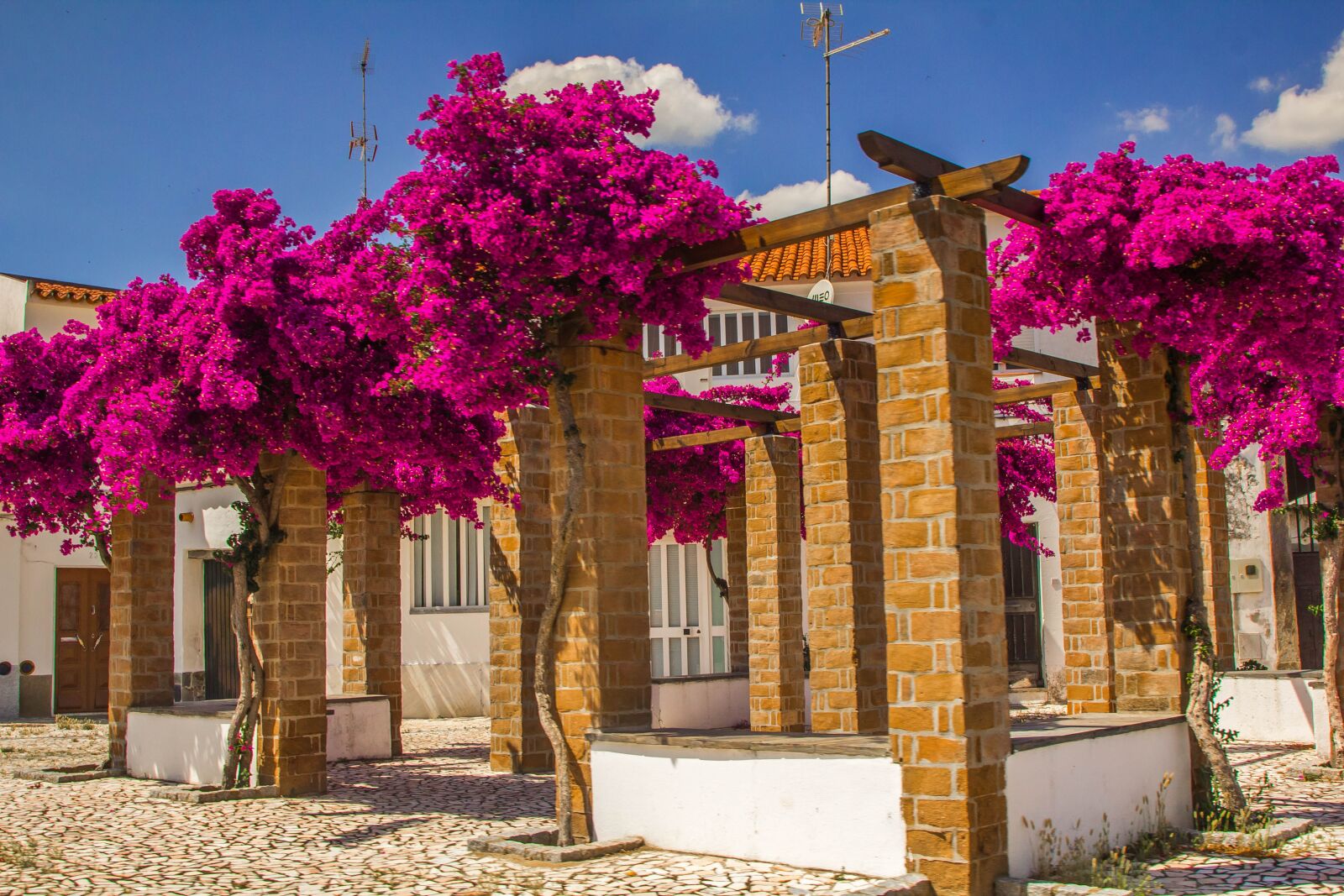 Canon EOS 60D + Canon EF 24-105mm F4L IS USM sample photo. Architecture, flowers, colors photography