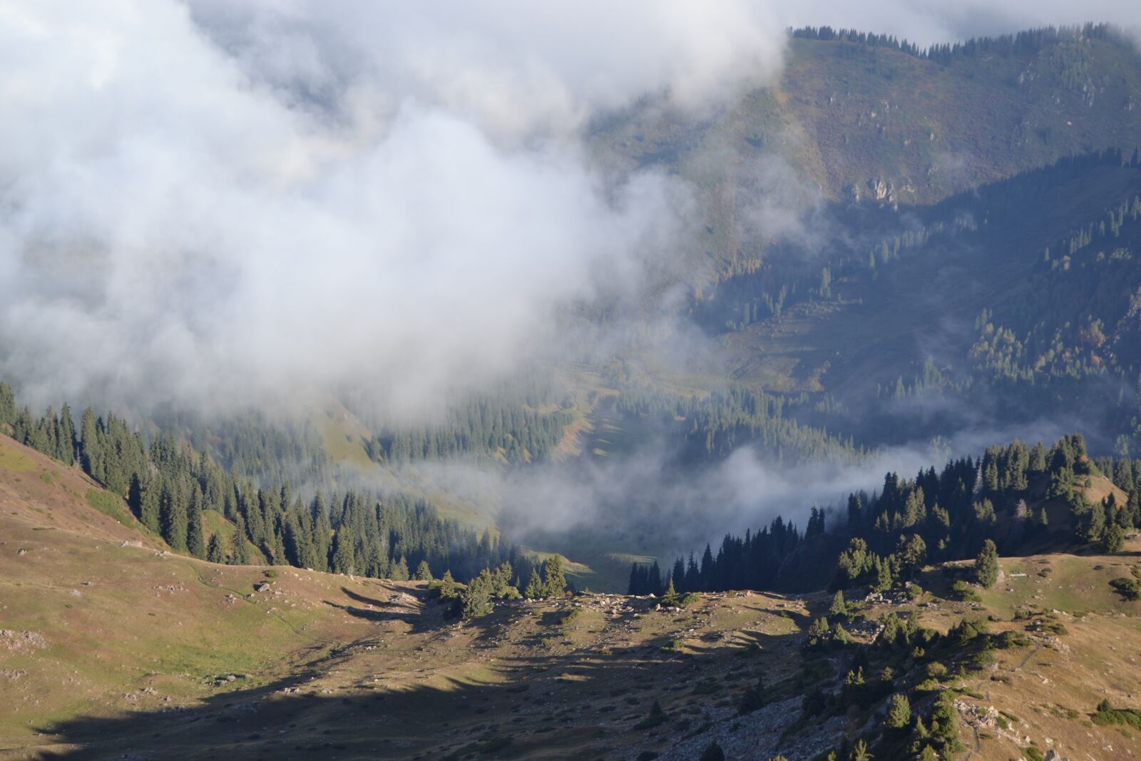 Nikon D3100 sample photo. Kazakhstan, trips, mountains photography