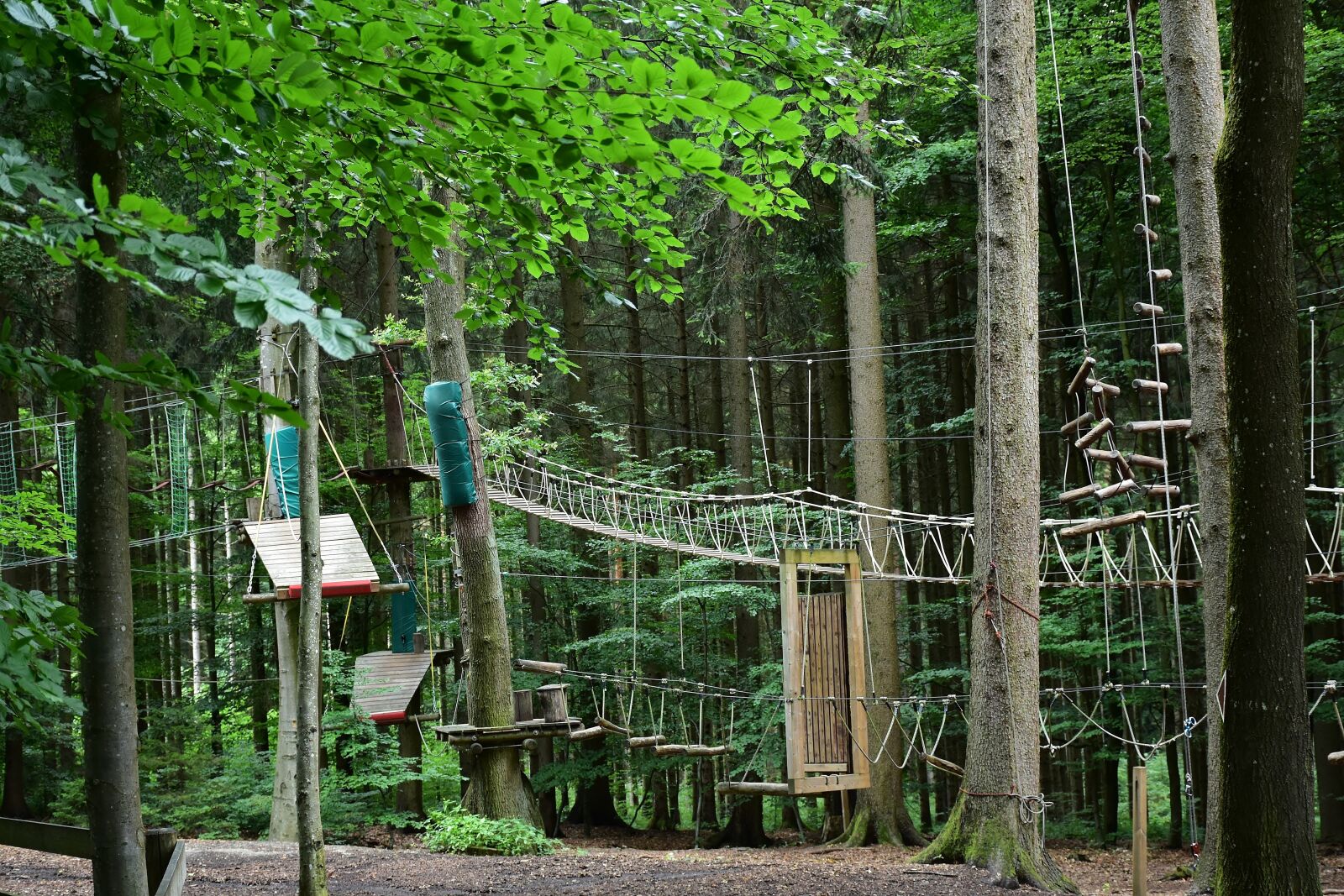 Nikon D7200 sample photo. Climb, high ropes course photography