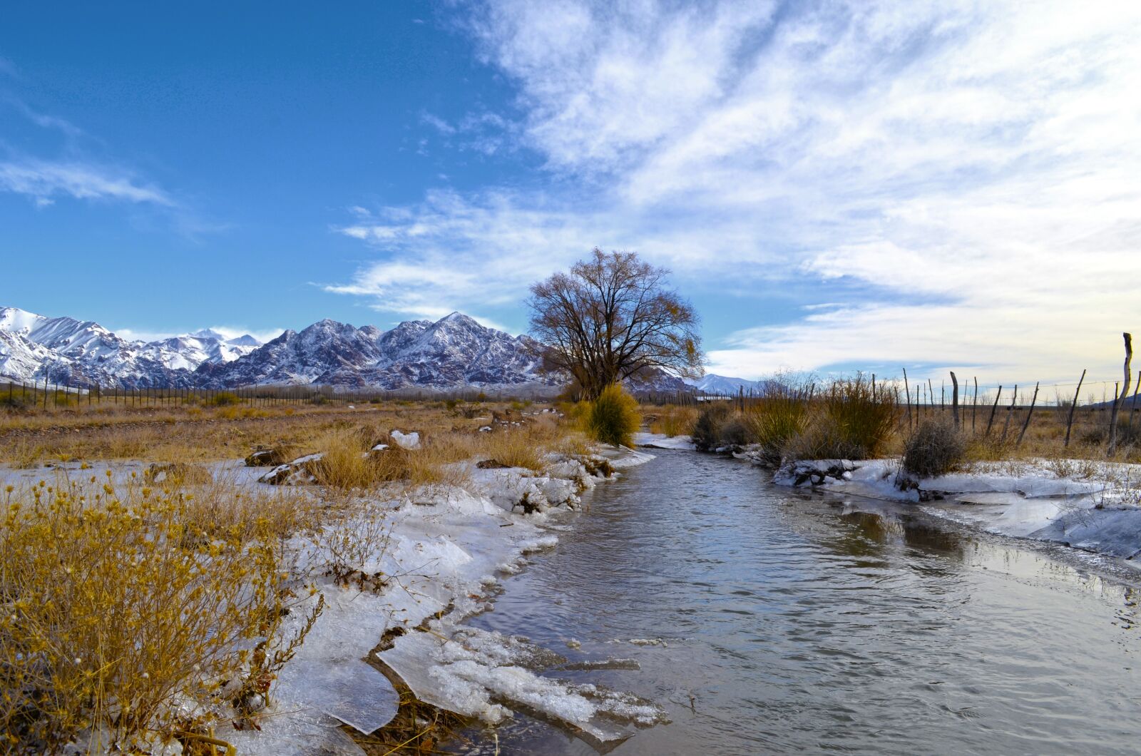 Nikon D5100 sample photo. Mendoza, uspallata, montañas photography