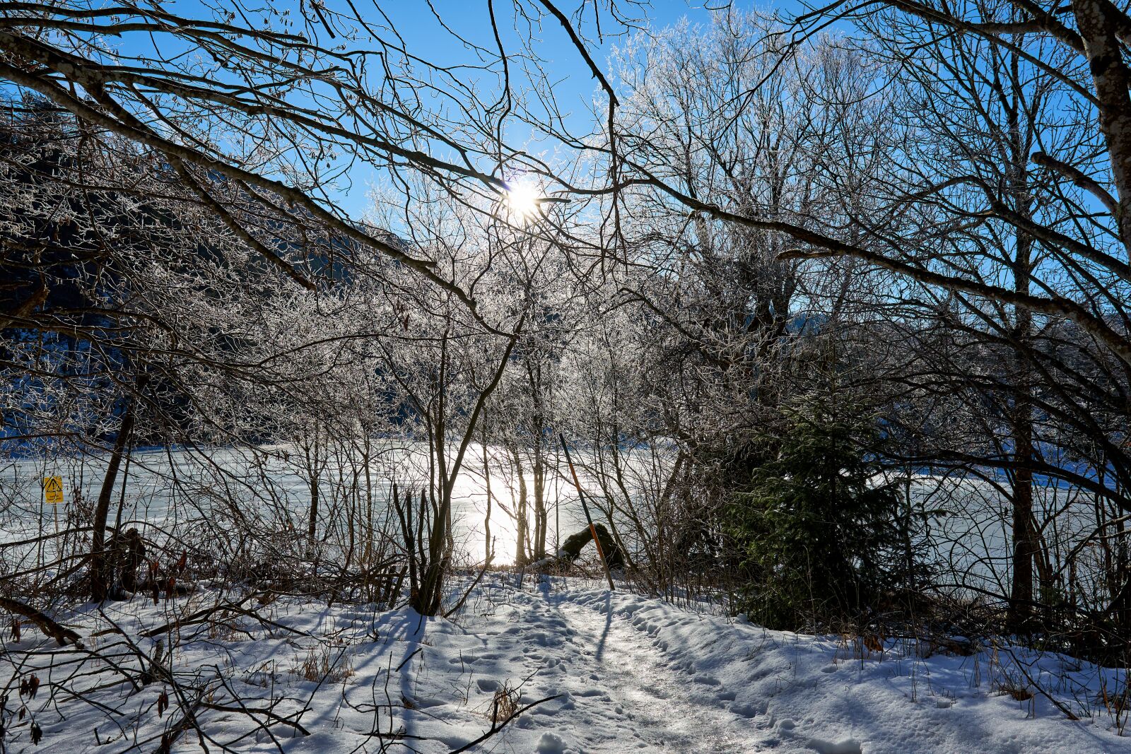 Sony a6300 + Sigma 16mm F1.4 DC DN | C sample photo. Winter, light, snow photography