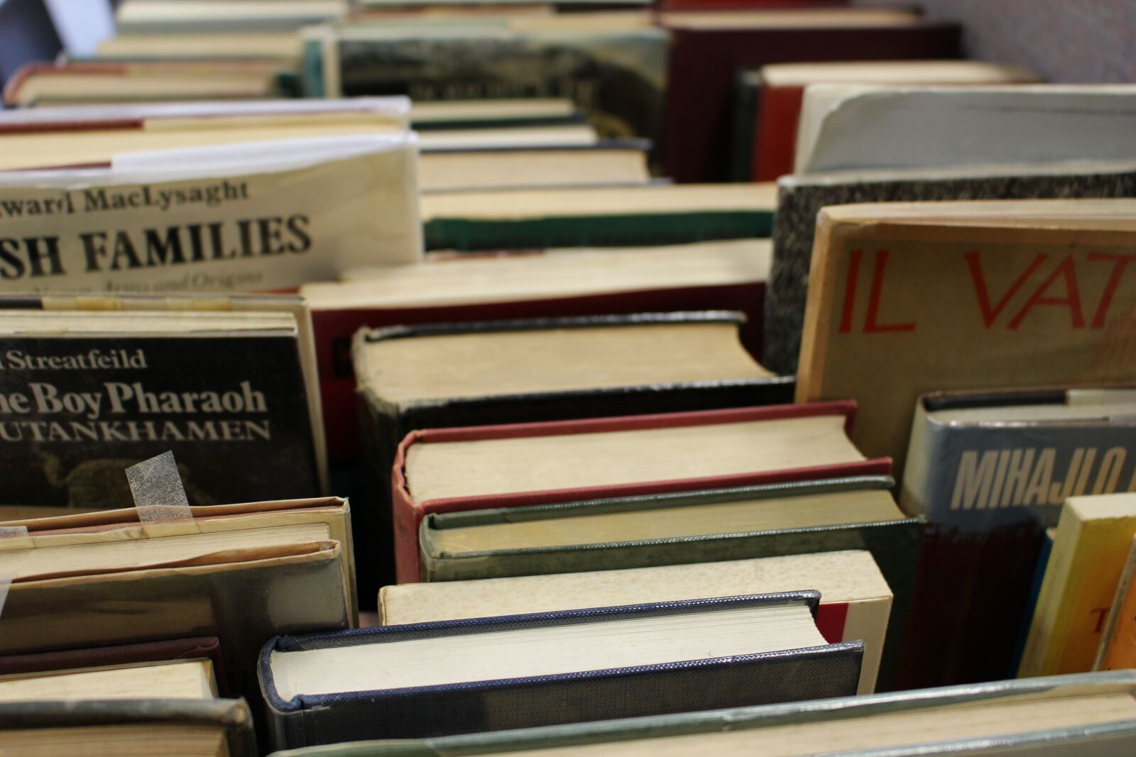 Canon EOS 100D (EOS Rebel SL1 / EOS Kiss X7) sample photo. Books, knowledge, education photography