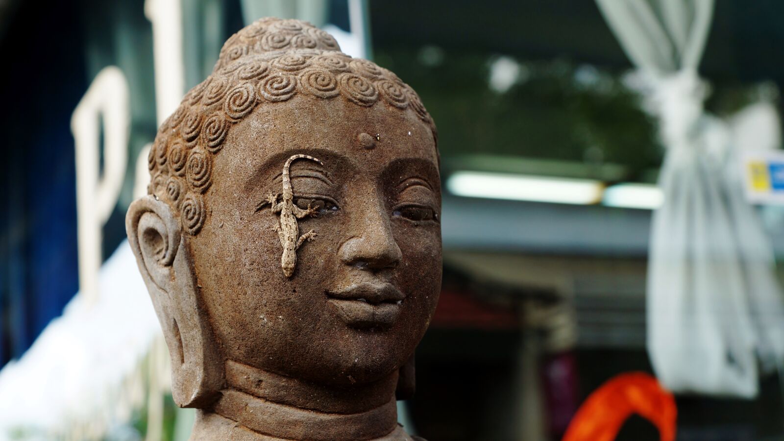 Sony SLT-A77 + Sony DT 16-50mm F2.8 SSM sample photo. Buddha, lizard, bali photography