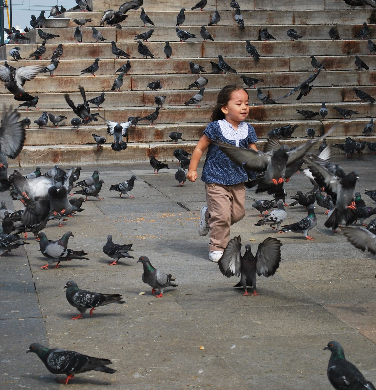 Nikon D60 sample photo. Girl, pigeons, animals photography