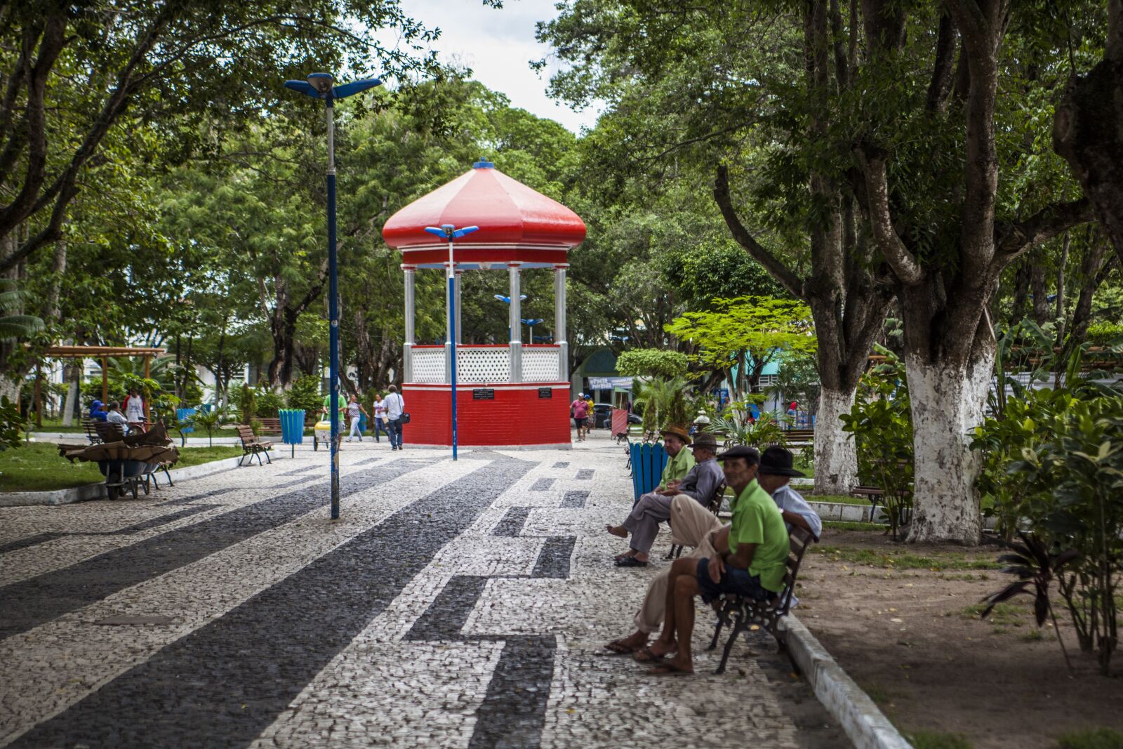 Canon EOS 5D Mark II sample photo. Square, trees, calm photography