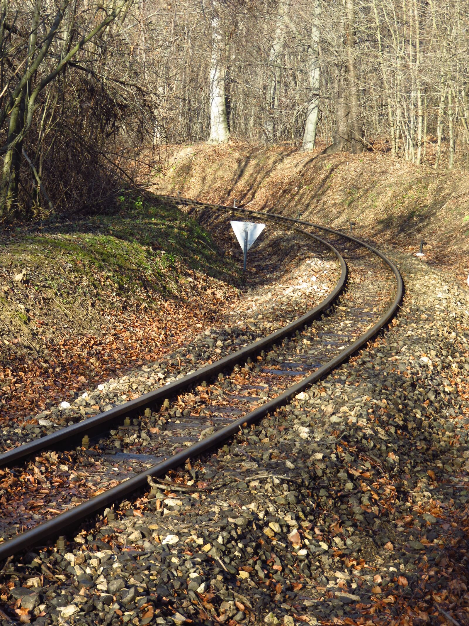 Canon PowerShot SX700 HS sample photo. Tracks, rail, rails photography