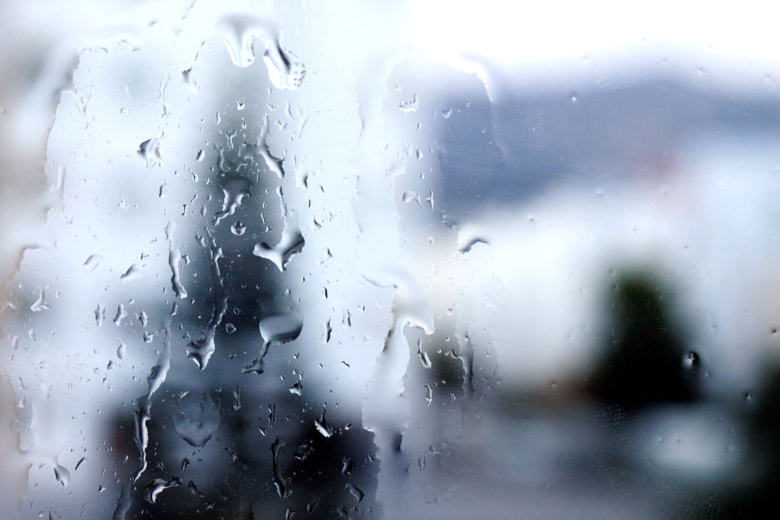 Canon EF-S 35mm F2.8 Macro IS STM sample photo. Rain, mood, drops photography