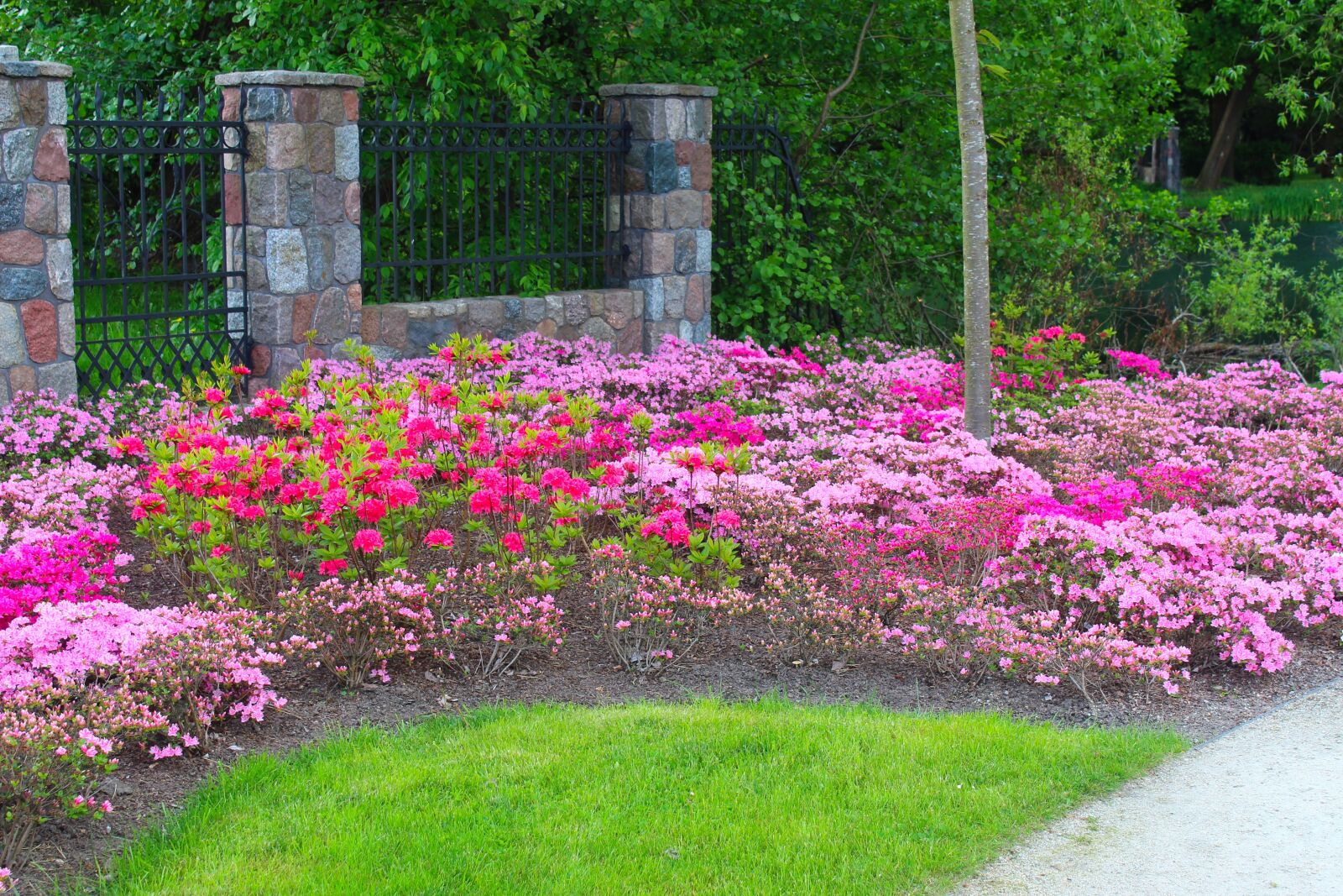 Canon EOS 4000D (EOS Rebel T100 / EOS 3000D) sample photo. Landscape, place, beautiful photography