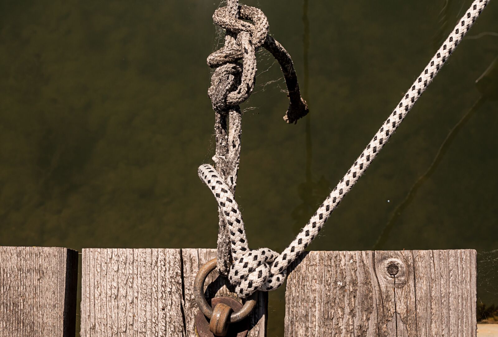 Nikon D90 sample photo. Sailing, sailing sports, sail photography