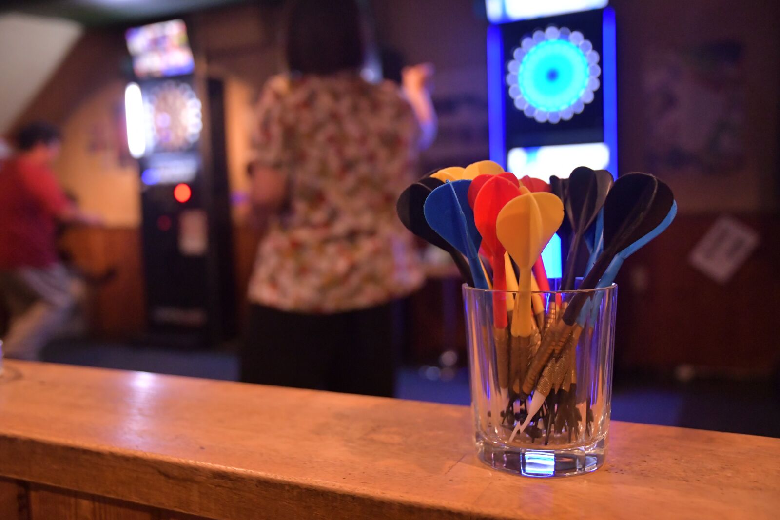 Nikon D500 sample photo. Darts, bar, darter photography