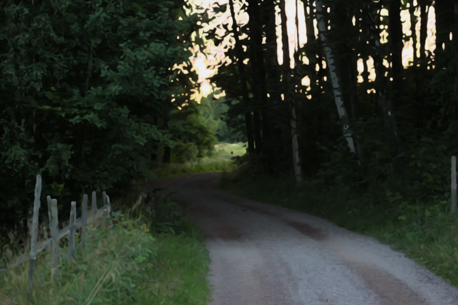 Canon EOS 550D (EOS Rebel T2i / EOS Kiss X4) sample photo. Road, forest, bend photography