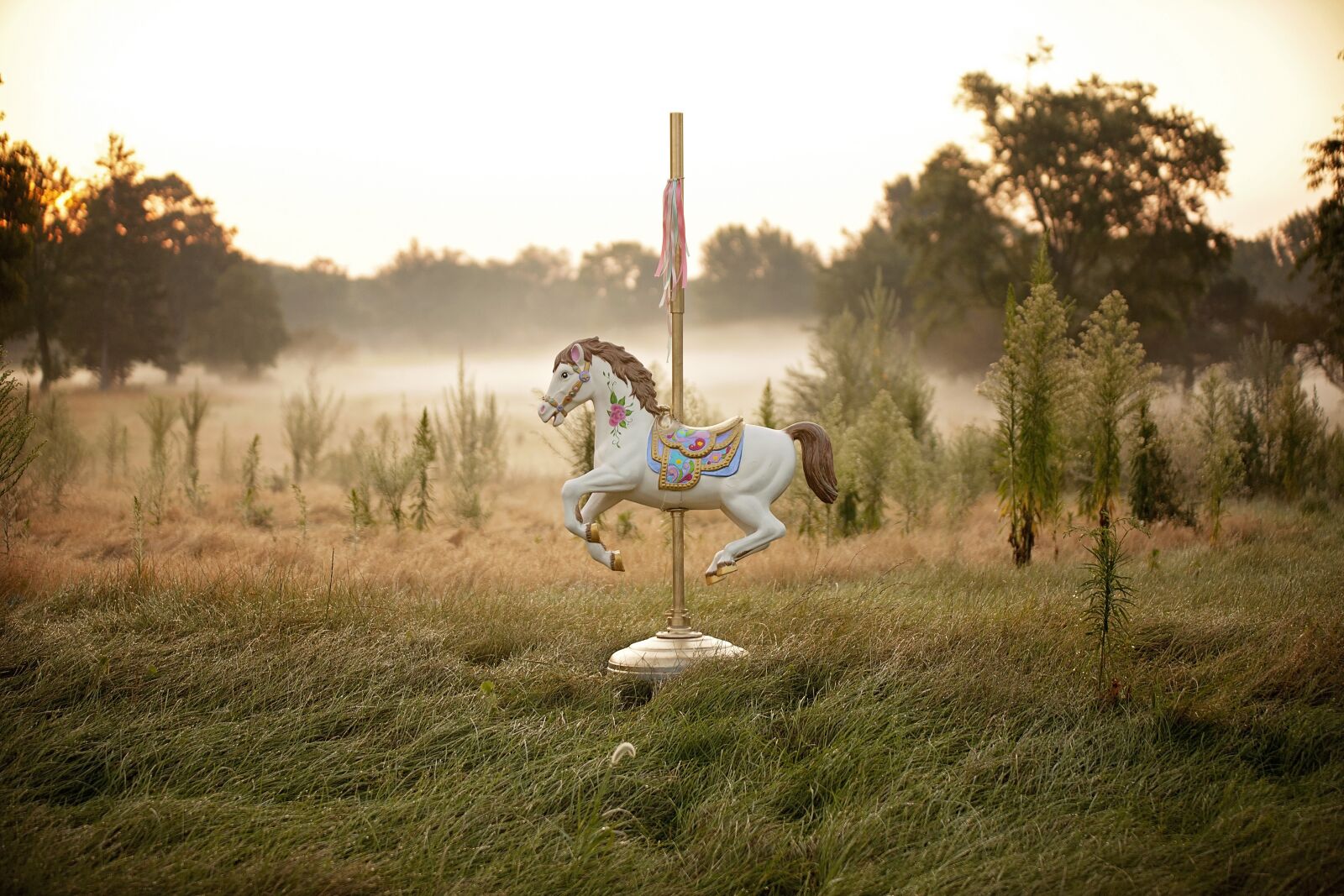 Canon EOS 5D Mark II sample photo. Horse, carousel, carousel horse photography