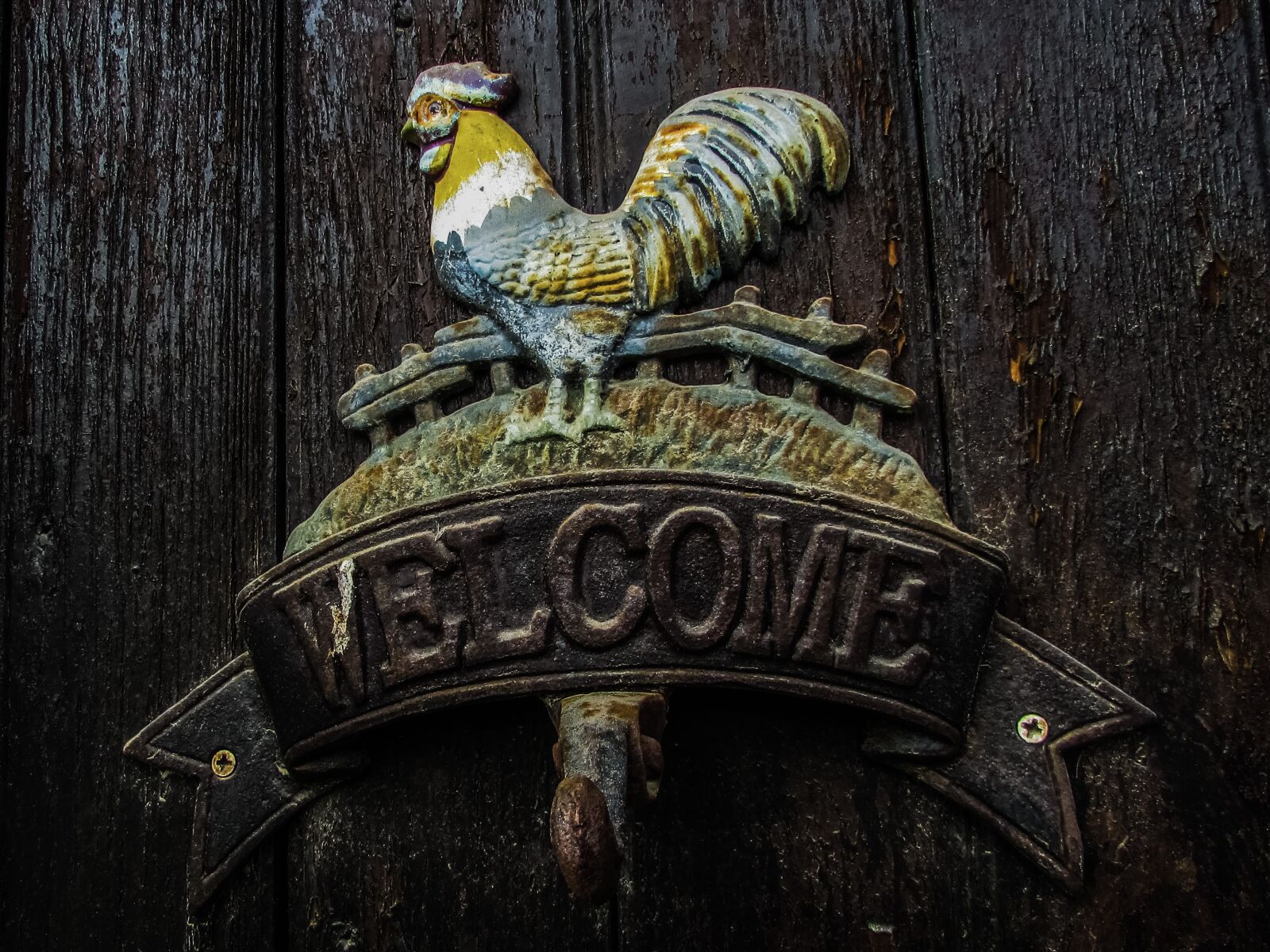 Canon PowerShot SX400 IS sample photo. Welcome sign, cock, door photography