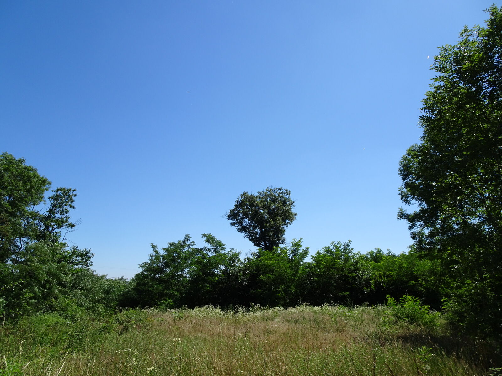 Sony Cyber-shot DSC-HX90V sample photo. Heart, love, nature photography