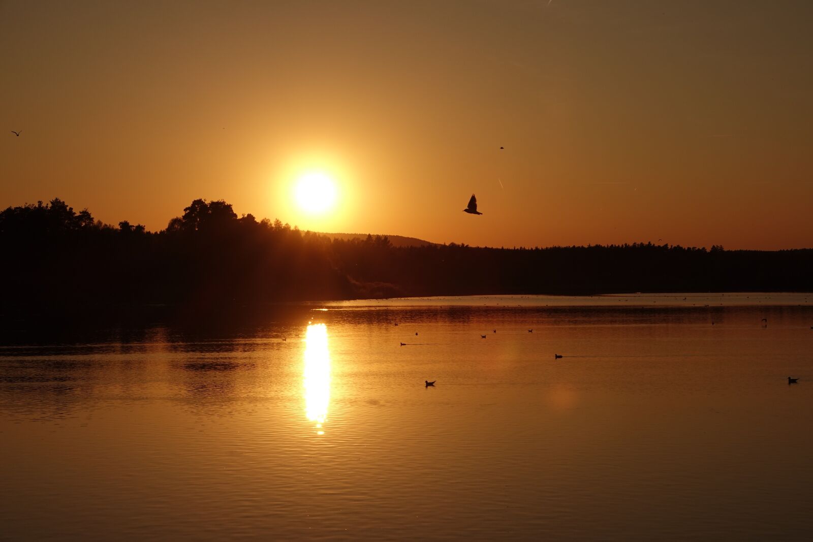 Sony Cyber-shot DSC-RX10 III sample photo. Sunset, upper lake, silent photography