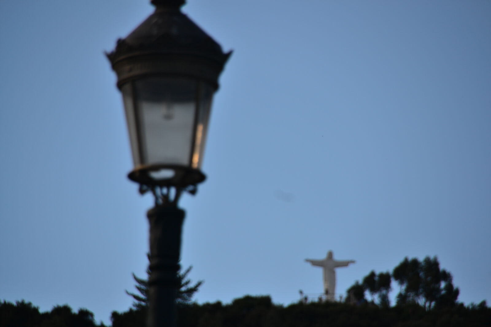 Nikon D3100 sample photo