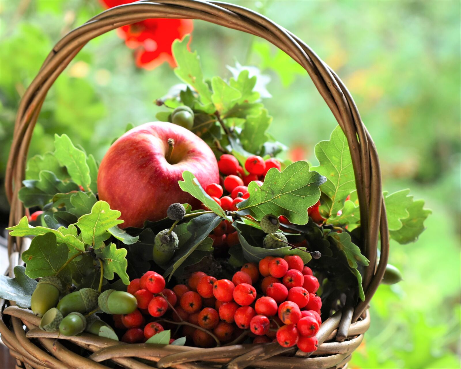 Nikon D7200 sample photo. Fruits, berries, fruit basket photography