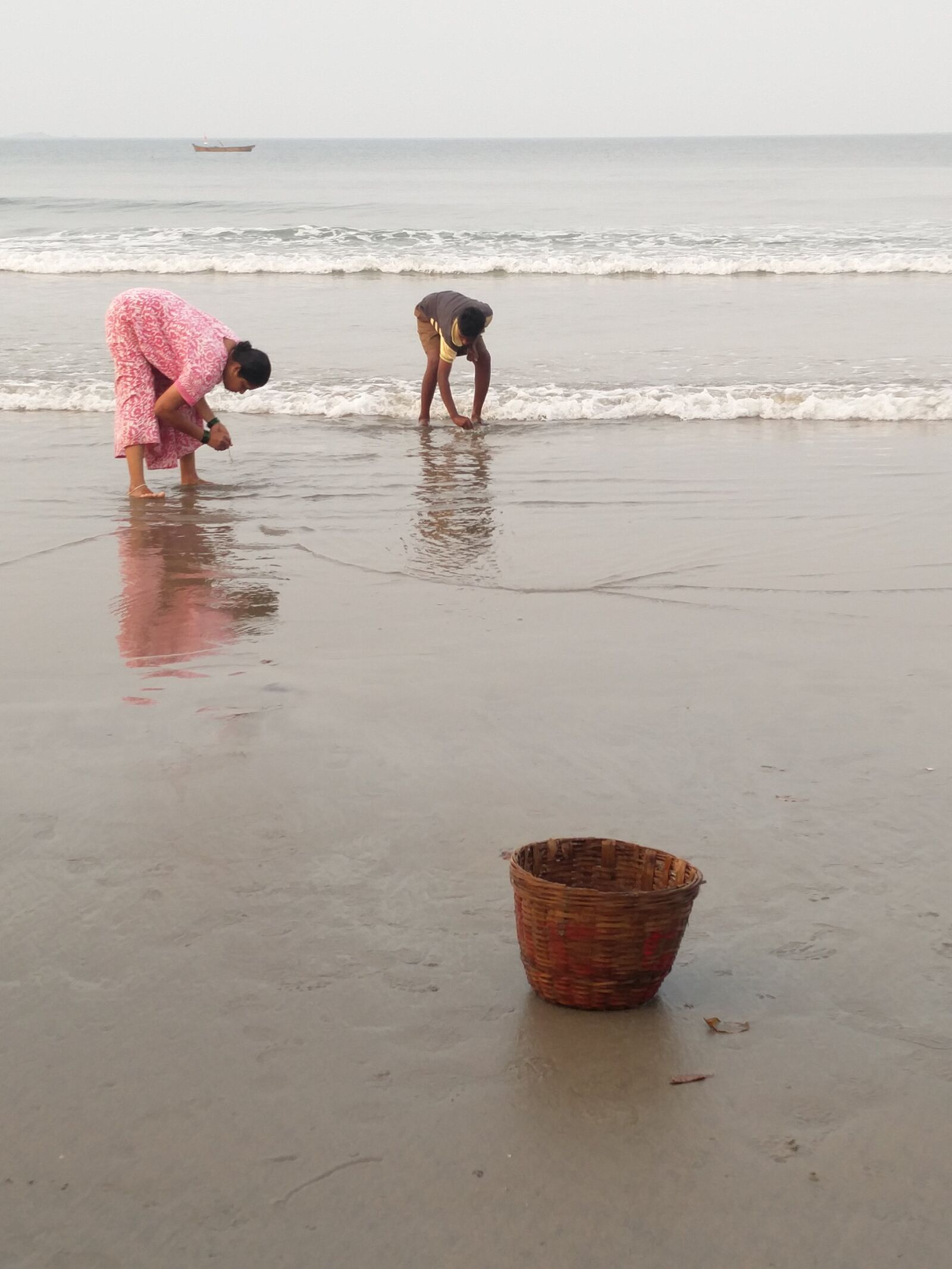 OnePlus 2 sample photo. Sea, shells, picking photography