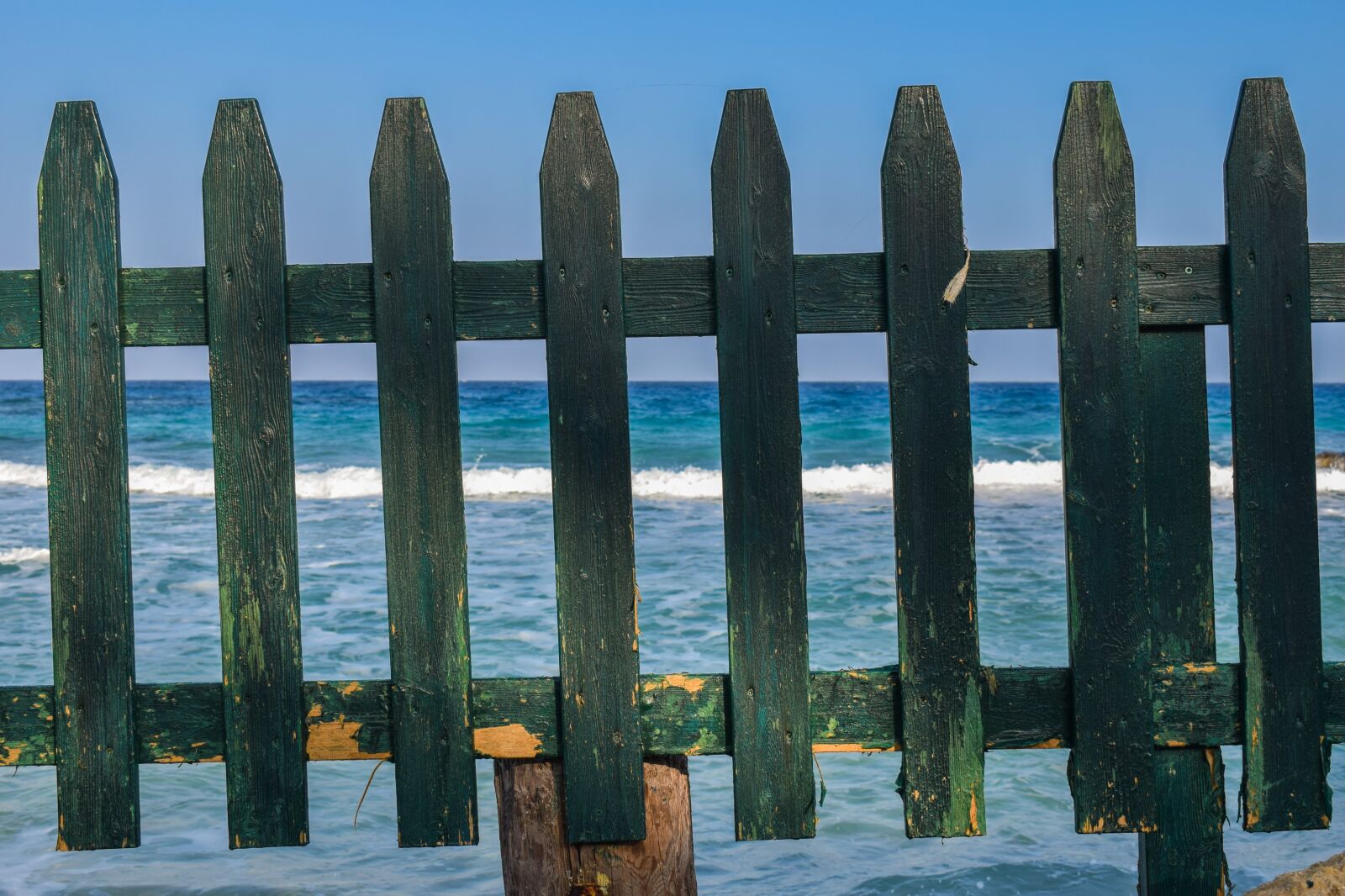 Nikon D3300 sample photo. Fence, green, wooden photography