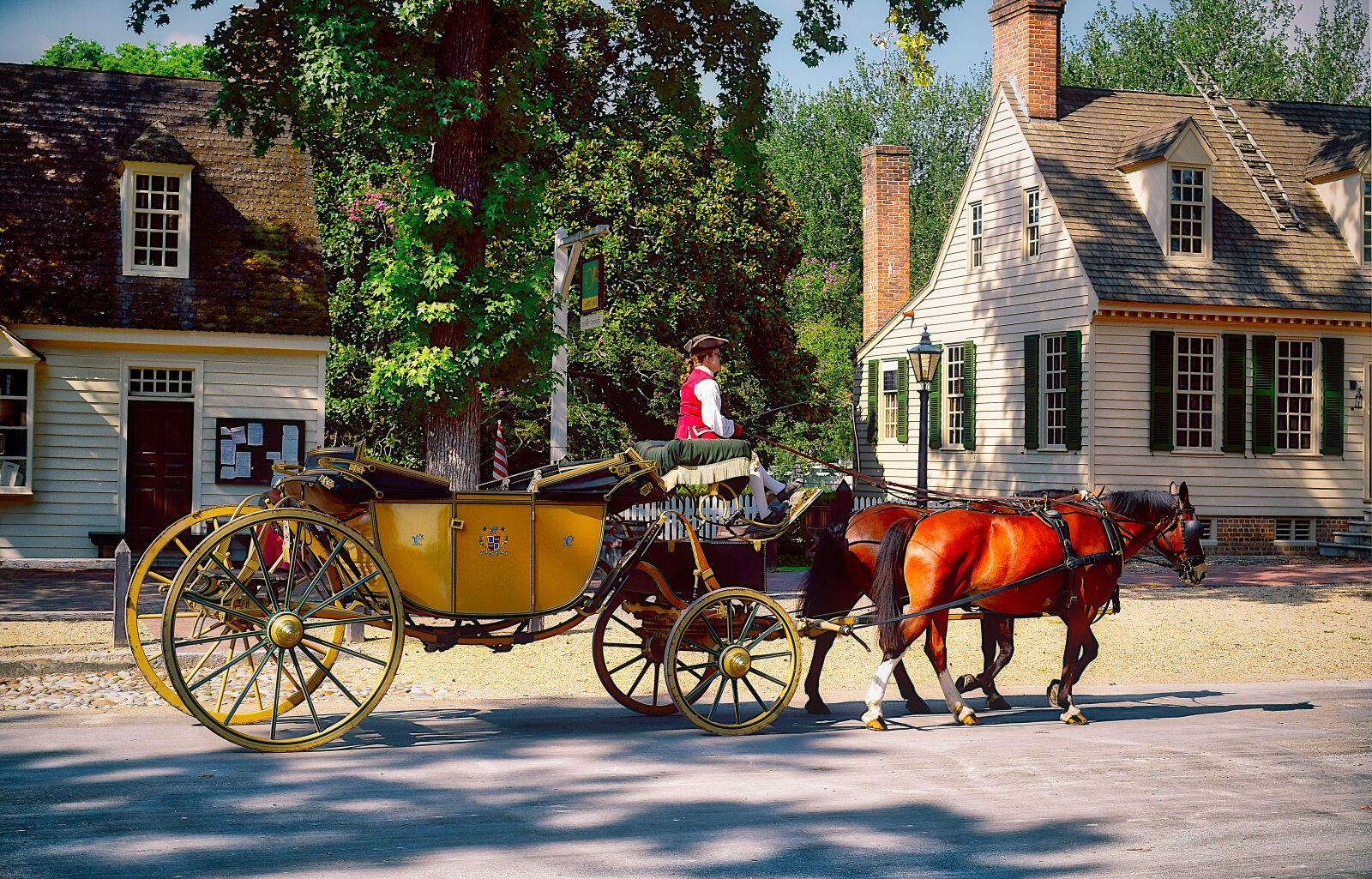 Nikon D3300 sample photo. Carriage, colonial, history, horses photography