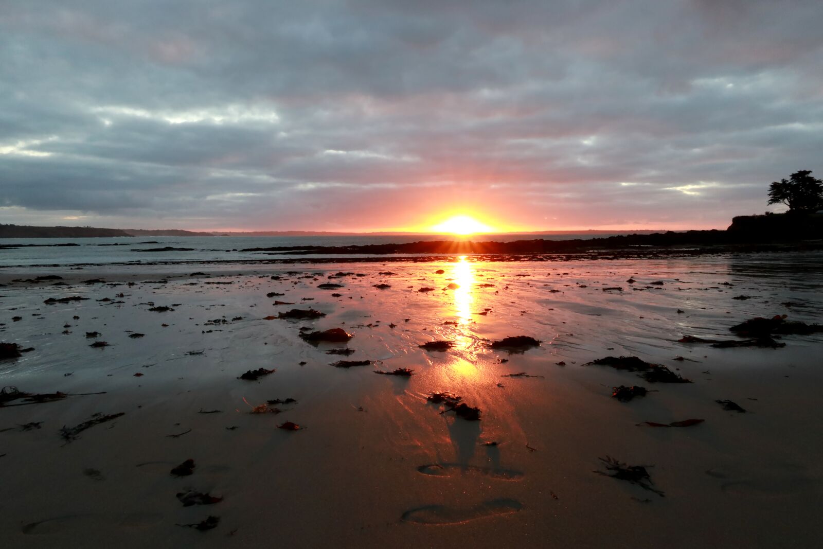 Canon PowerShot G1 X Mark III sample photo. Sunset, brittany, algae photography