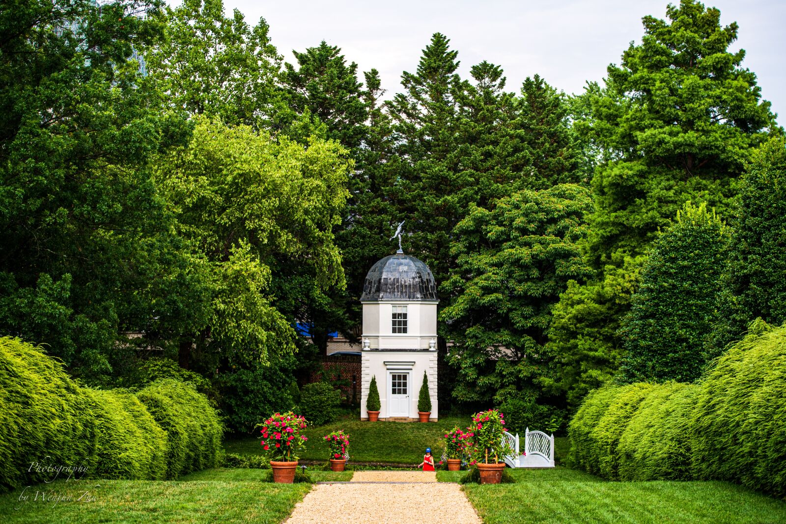 Nikon D750 sample photo. Garden, trees, nature photography