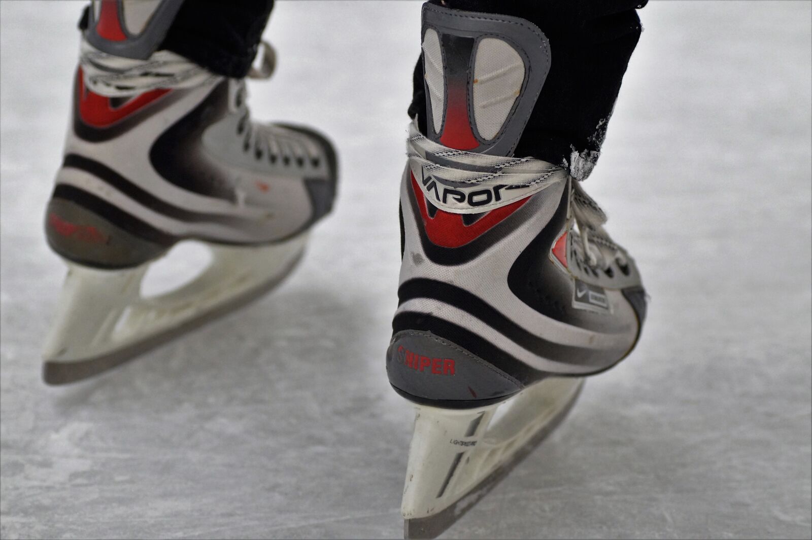 Sony SLT-A58 sample photo. Skates, polar area, the photography